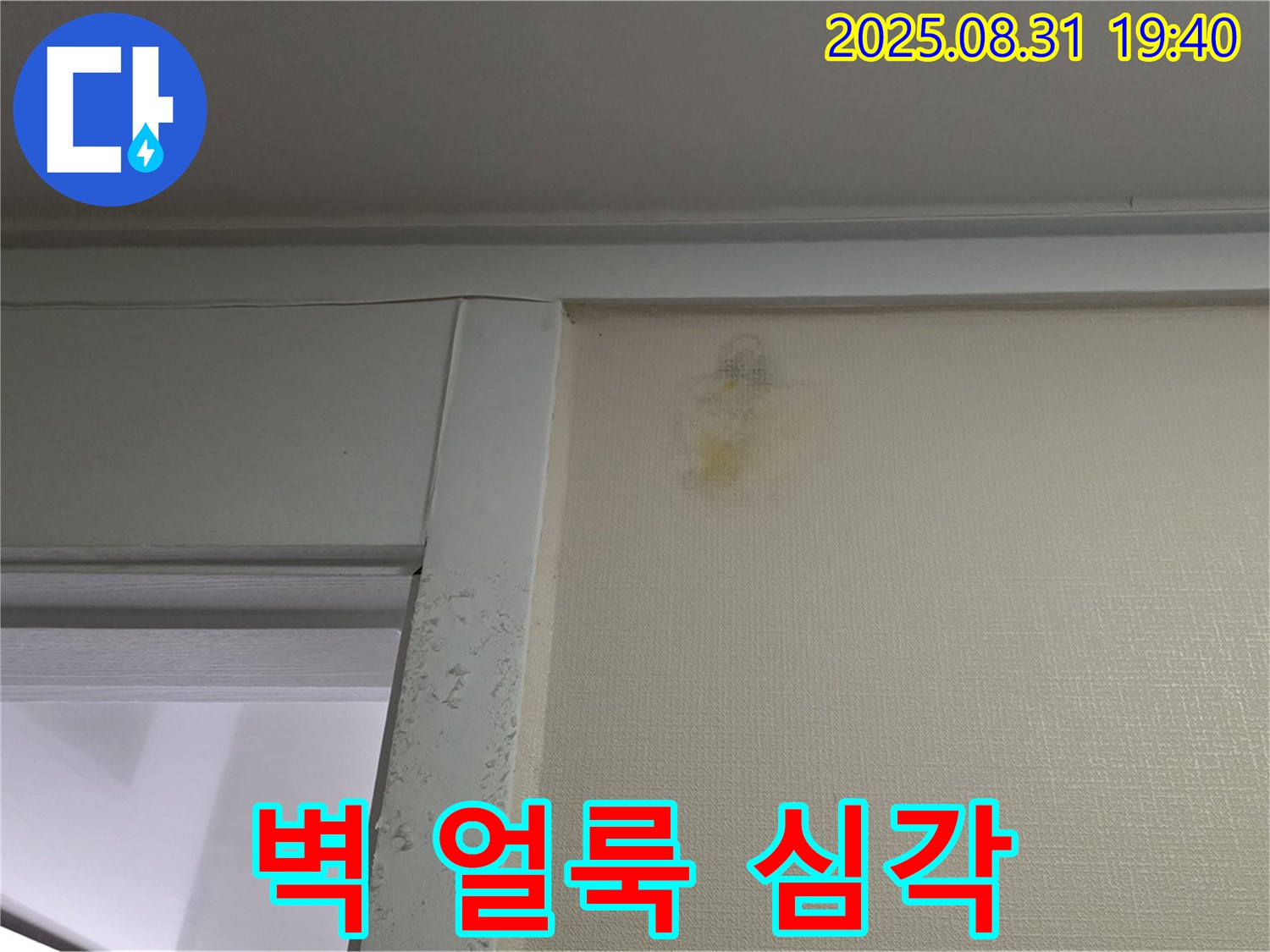 심각한 벽 얼룩 - 분당구 산운로 누수탐지 - 얼룩 제거
