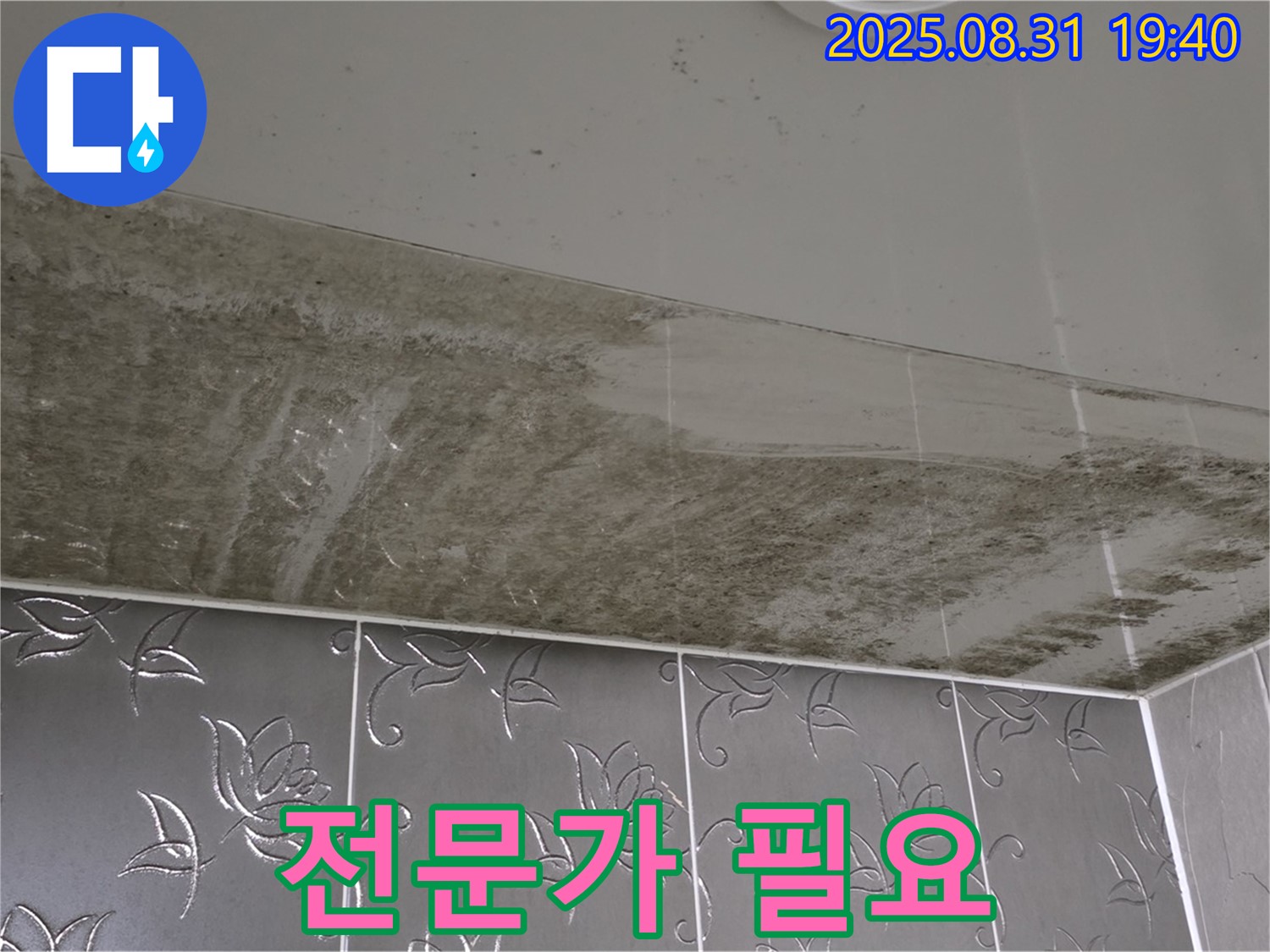 욕실 천장 누수 - 곰팡이 심각, 전문가만이 해결 가능