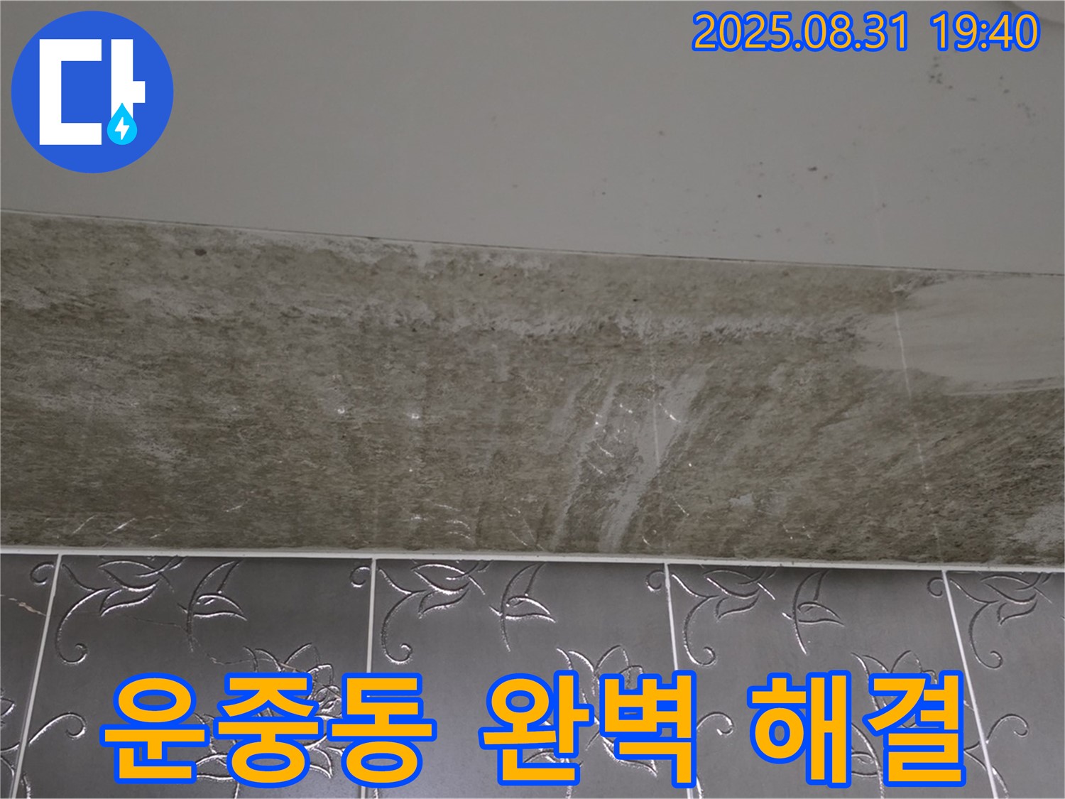 운중동 욕실 누수 - 곰팡이 완벽 해결 보장!