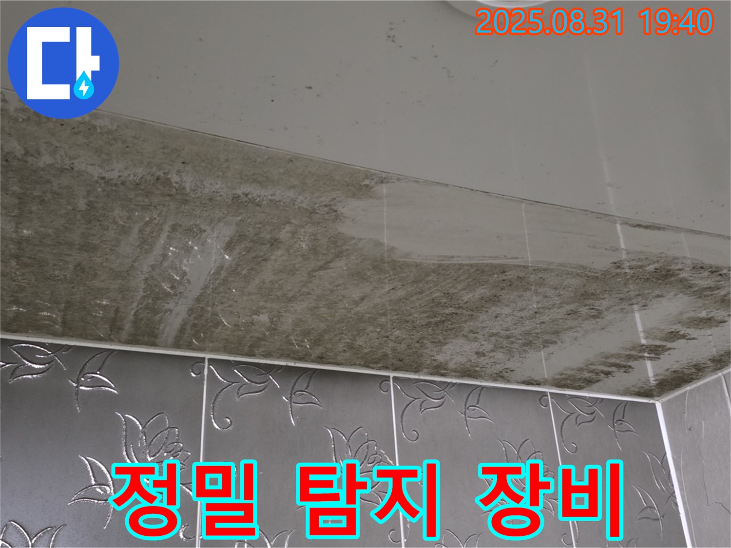 정밀 탐지 장비 - 첨단 장비로 정확한 누수 위치 파악