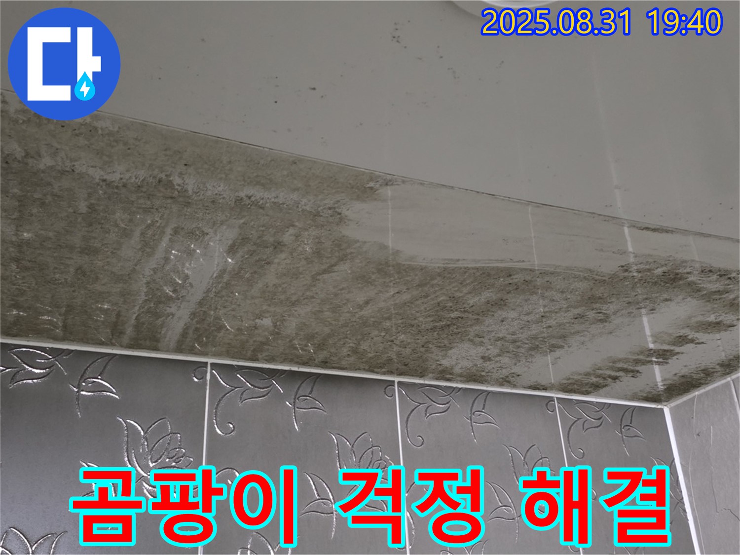 정자동 욕실 - 누수와 곰팡이 해결 후 쾌적해진 모습