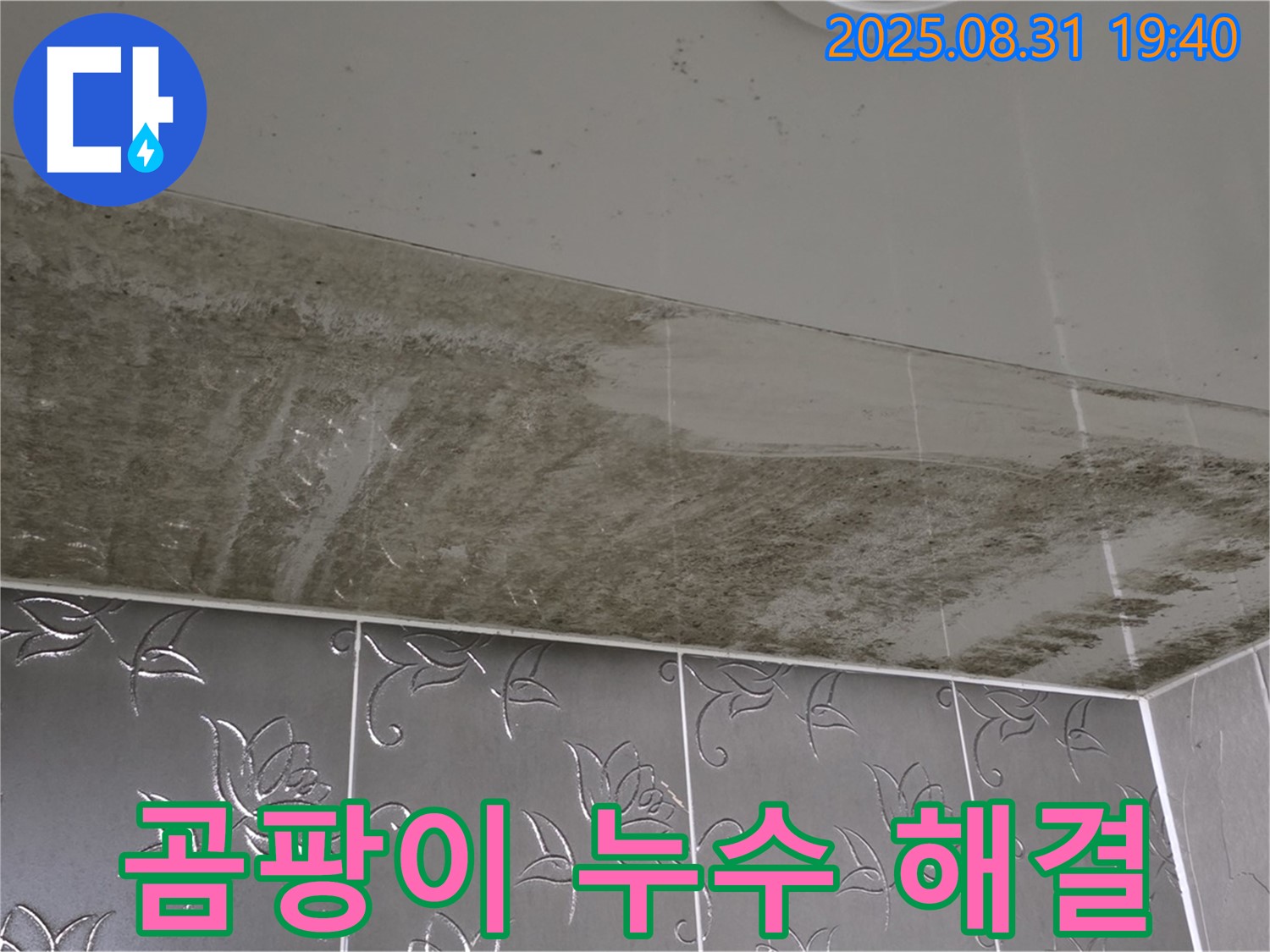 정자동 욕실 천장 곰팡이 - 누수 해결 후 깨끗해진 모습
