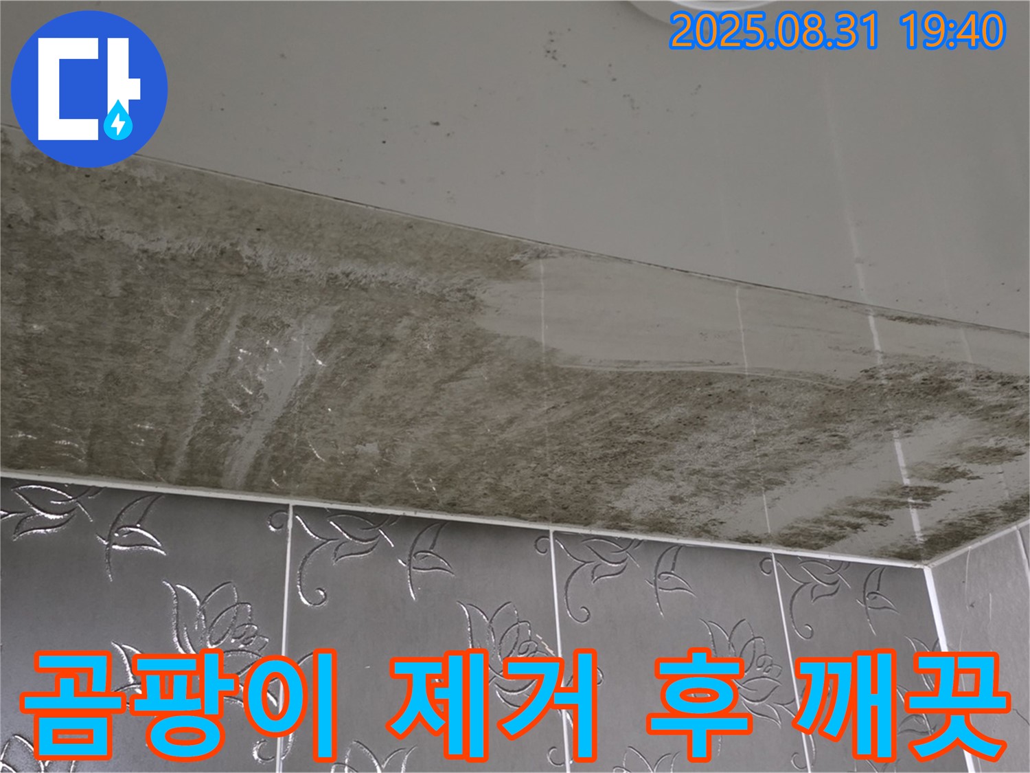 정자동 욕실 천장 - 곰팡이 제거 후 깨끗해진 모습