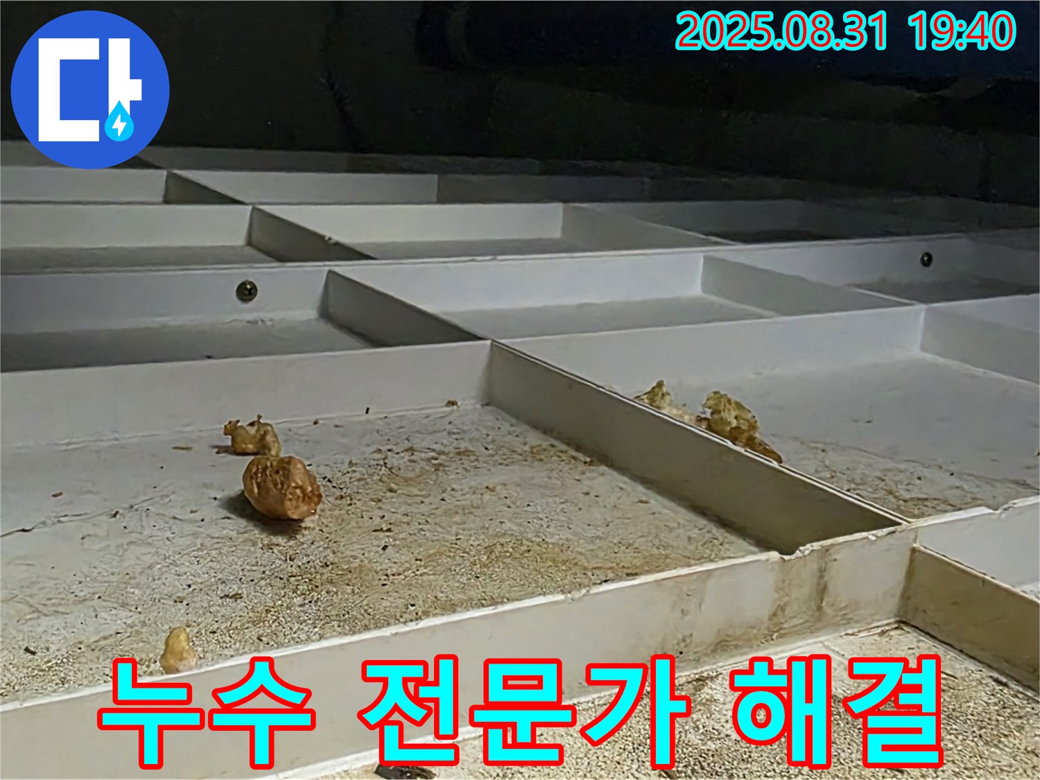 정자마을 누수 - 분당 누수 전문가의 확실한 해결 과정