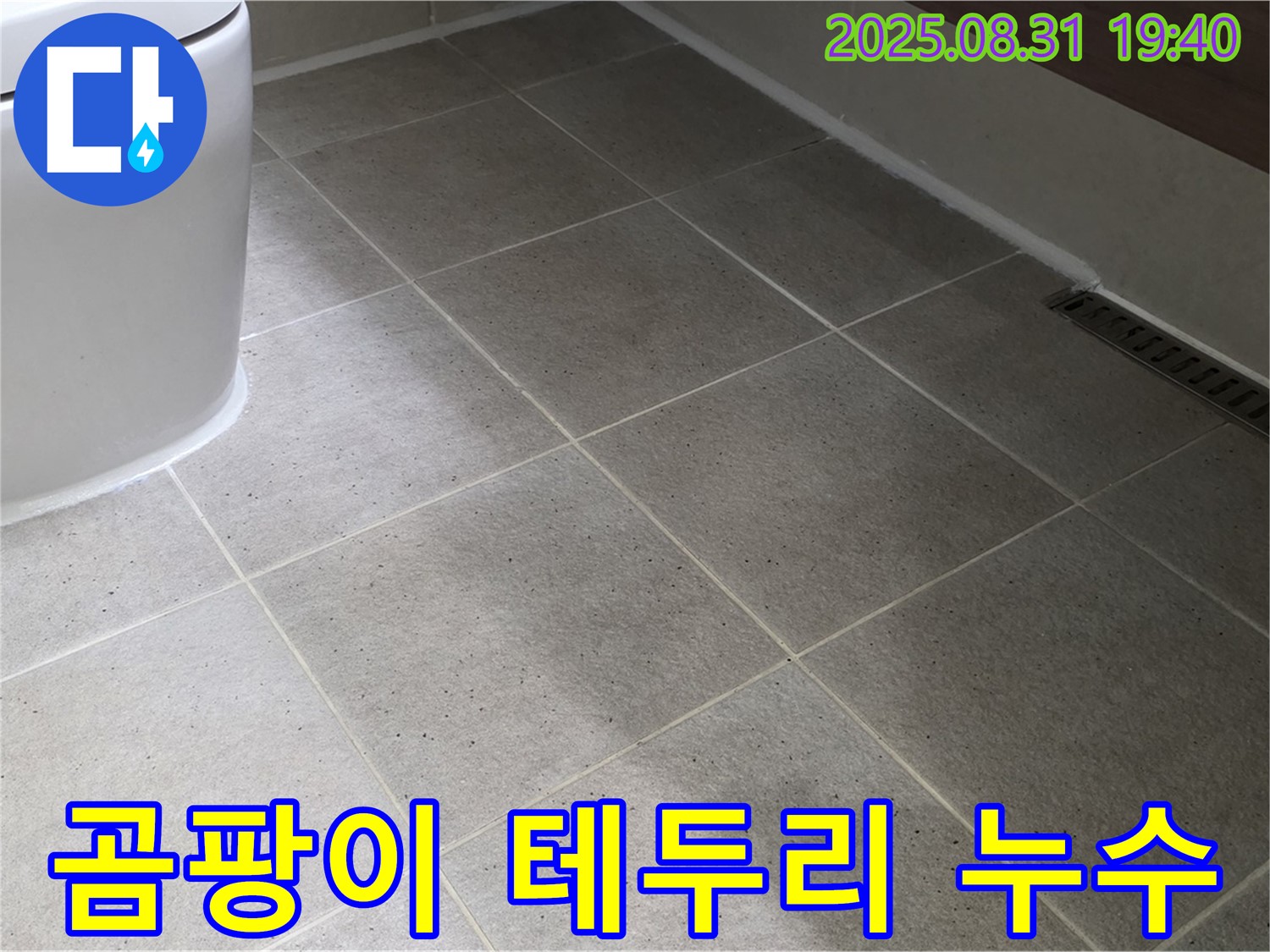 좌변기 테두리 곰팡이 - 누수와 곰팡이 한 번에 해결!