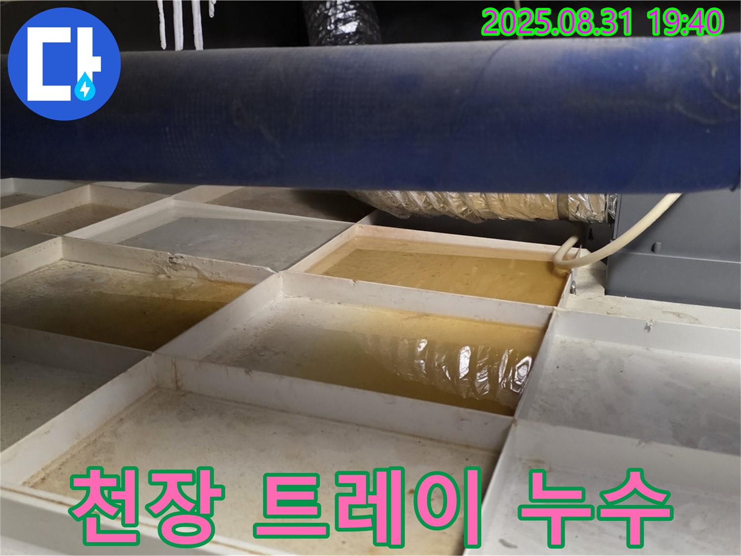 천장 트레이 누수 - 트레이에 고인 물, 누수 확인
