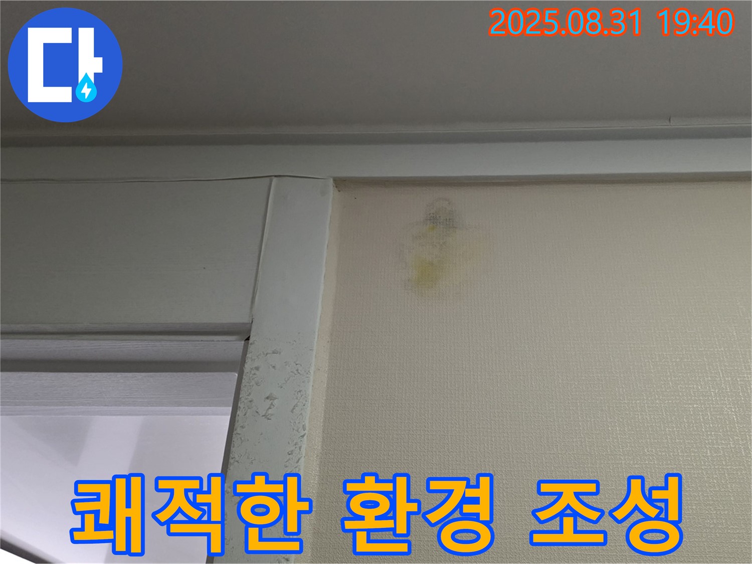 쾌적한 환경 조성 - 분당 산운로 누수 해결