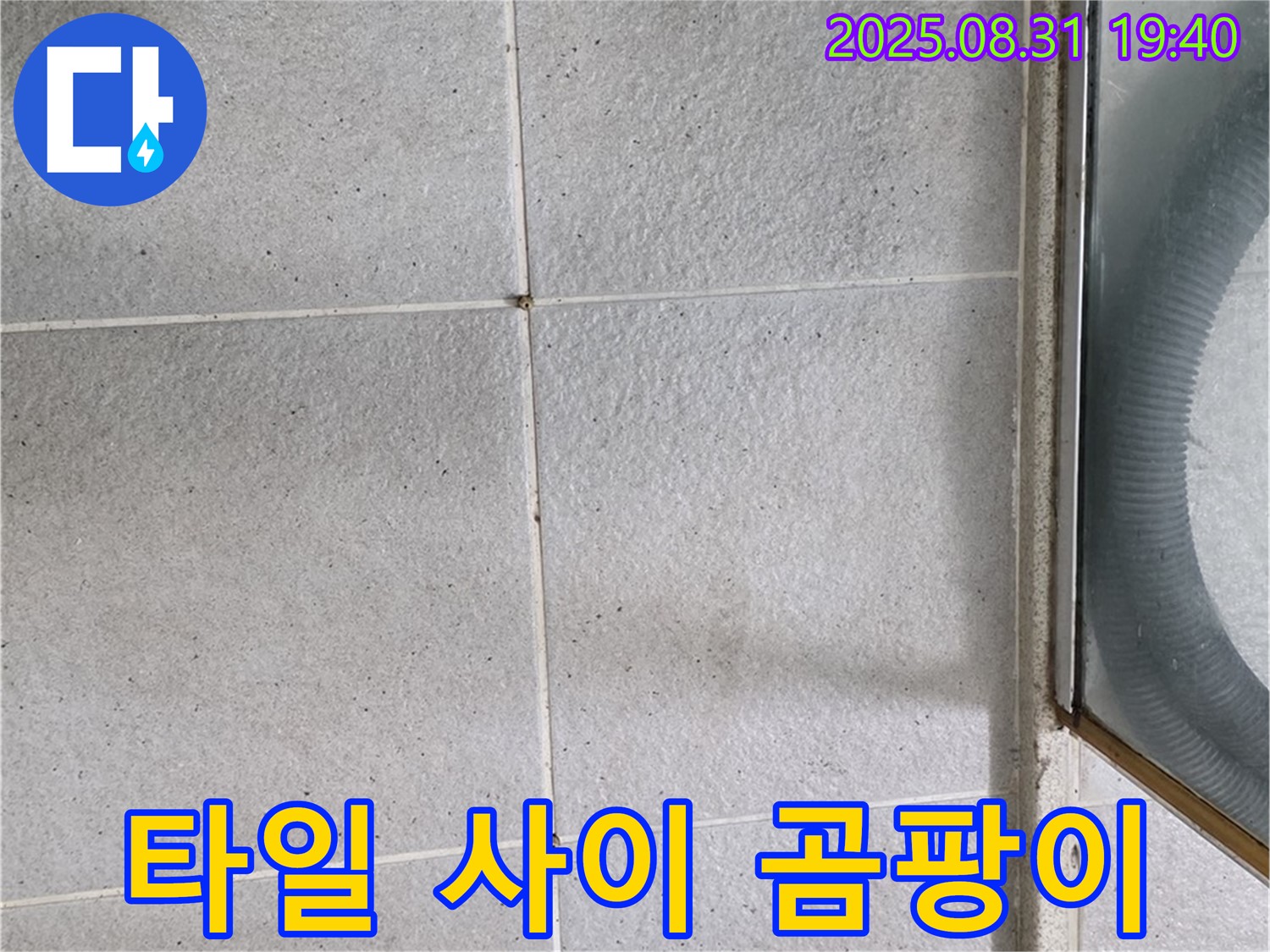 타일 사이 곰팡이 - 누수와 곰팡이, 한번에 해결!