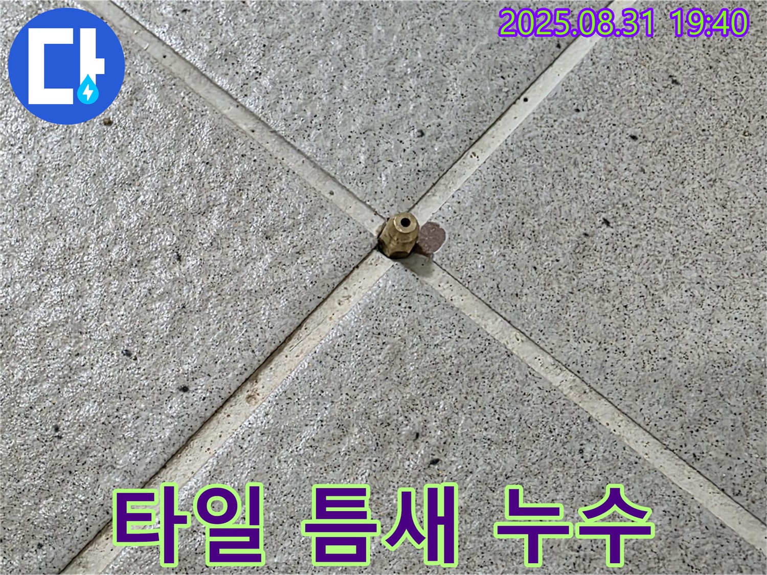 타일 틈새 누수 - 누수 전문가의 정확한 진단