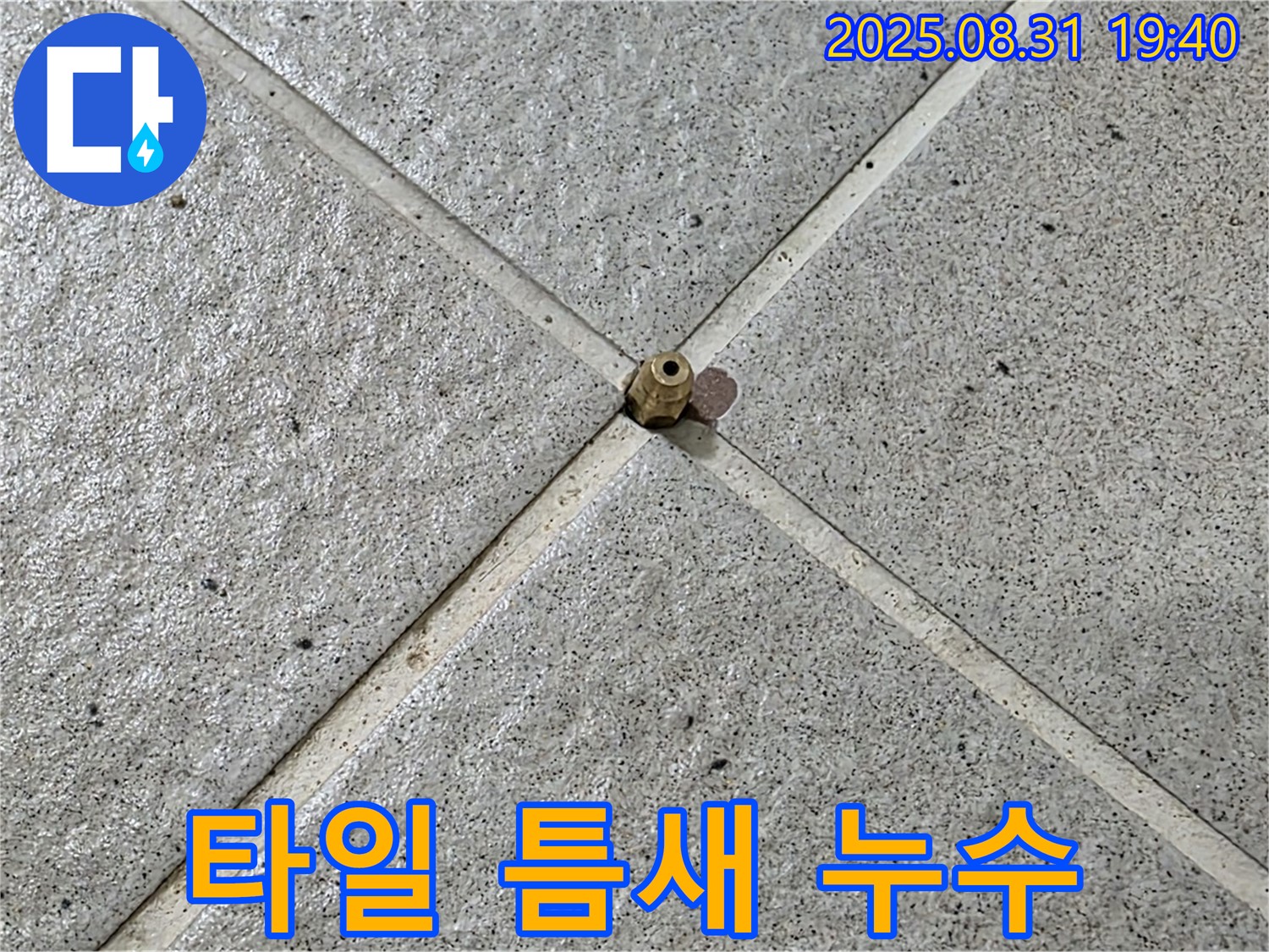 타일 틈새 누수 - 최첨단 장비로 정밀 탐지
