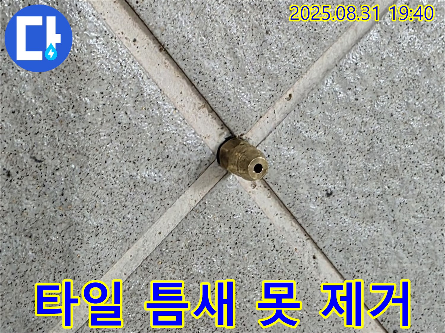 타일 틈새 못 제거 - 누수 걱정은 이제 끝!