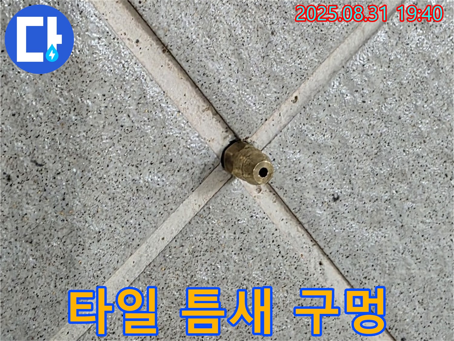 타일 틈새의 작은 구멍 - 큰 문제로 번지기 전에 해결하세요.