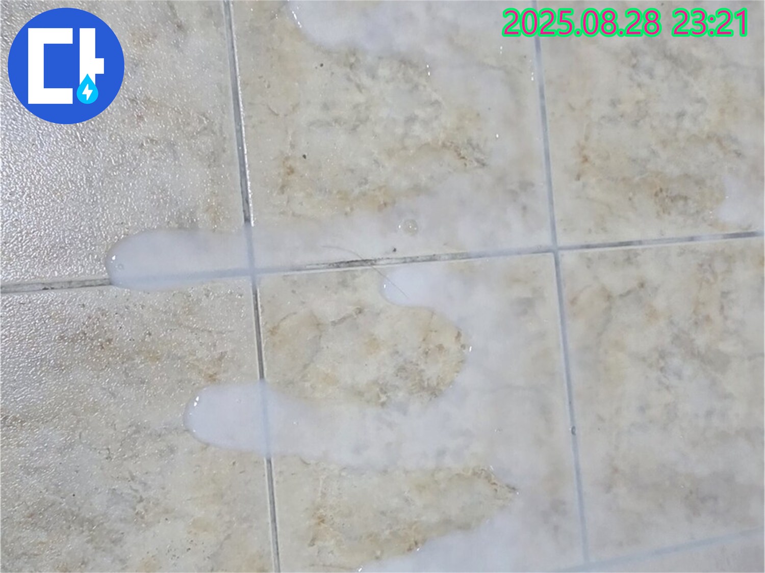 백시멘트 청소 - 묵동 주택 욕실에서 백시멘트 청소 시 주의사항 - 칫솔 사용은 신중하게 결정해야 합니다.