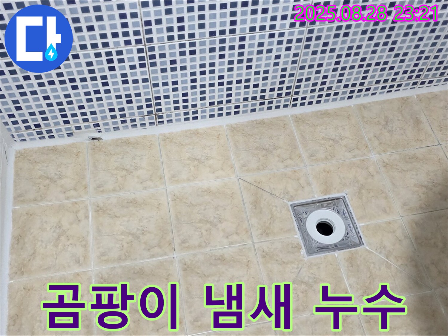 곰팡이 냄새 - 누수 원인 의심