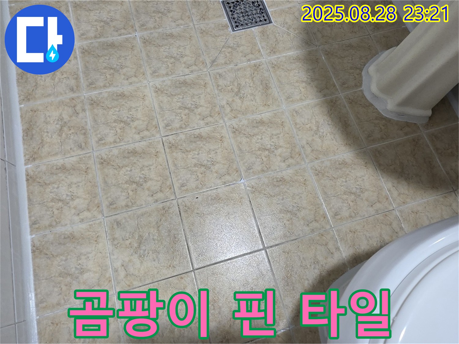 곰팡이 핀 타일 - 완벽한 곰팡이 제거와 누수 해결