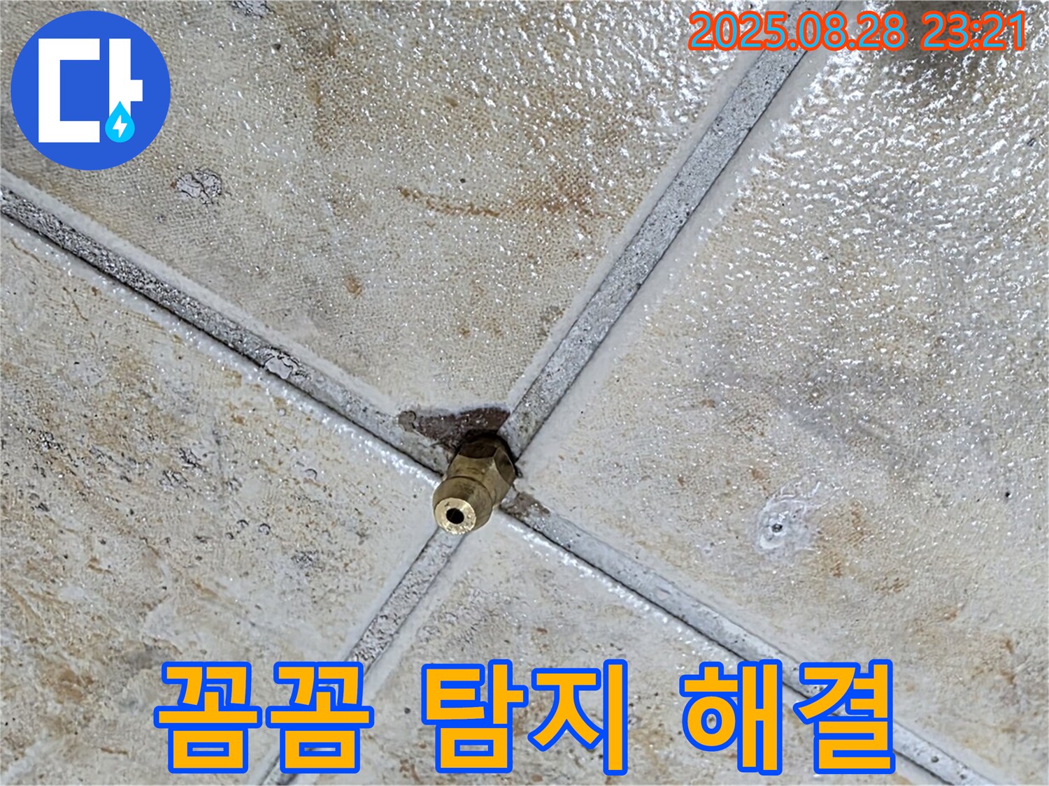 꼼꼼 탐지 해결 - 완벽한 누수