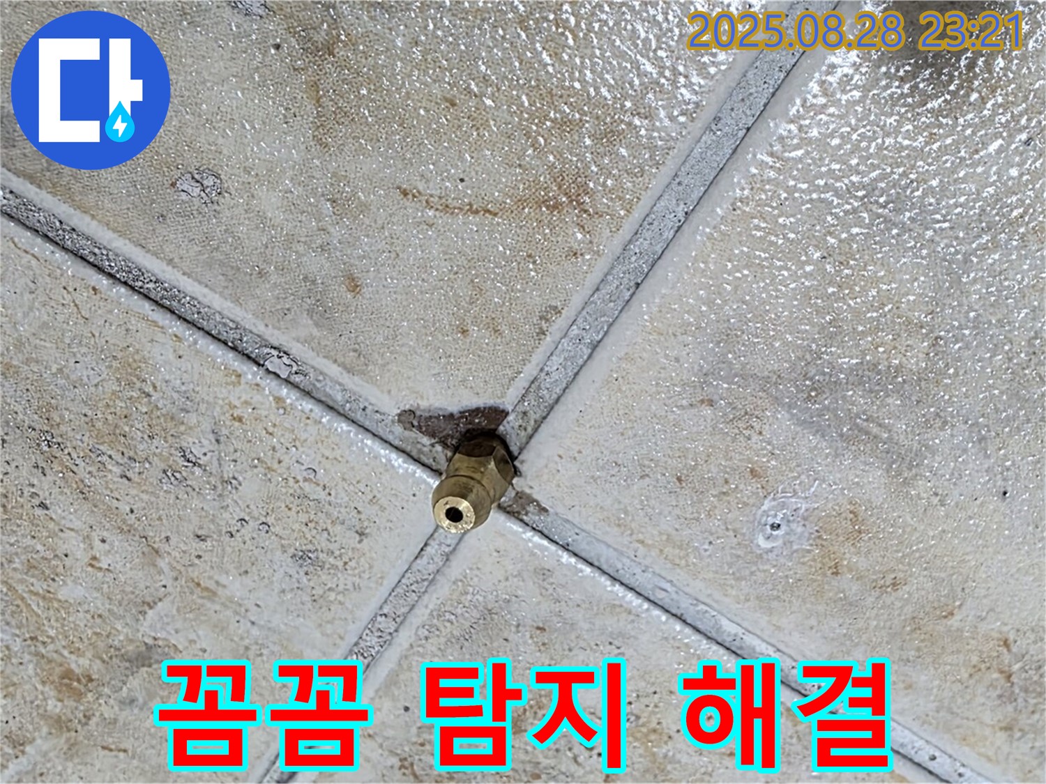 꼼꼼 탐지 해결 - 완벽한 누수