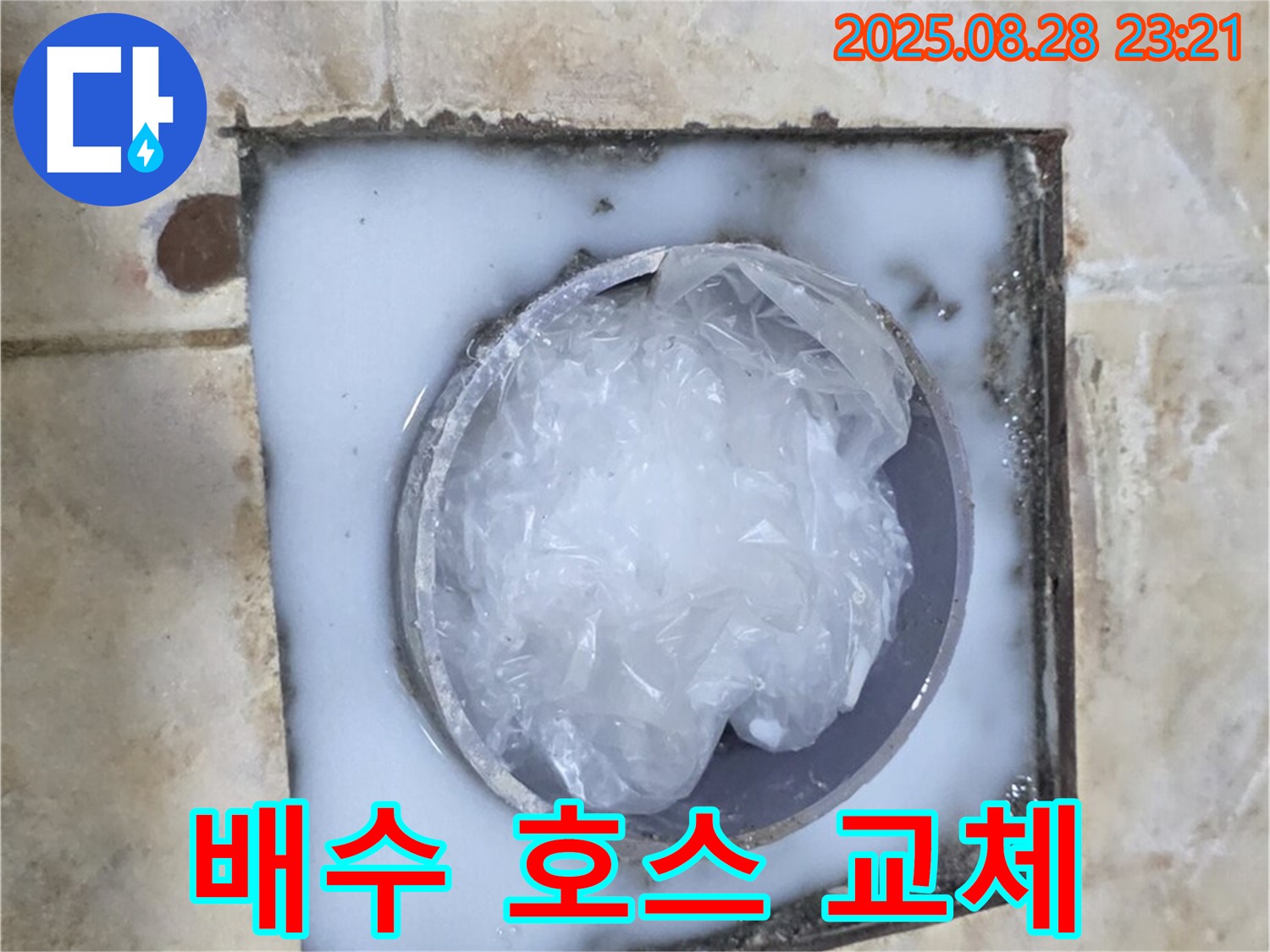배수 호스 - 악취 제거