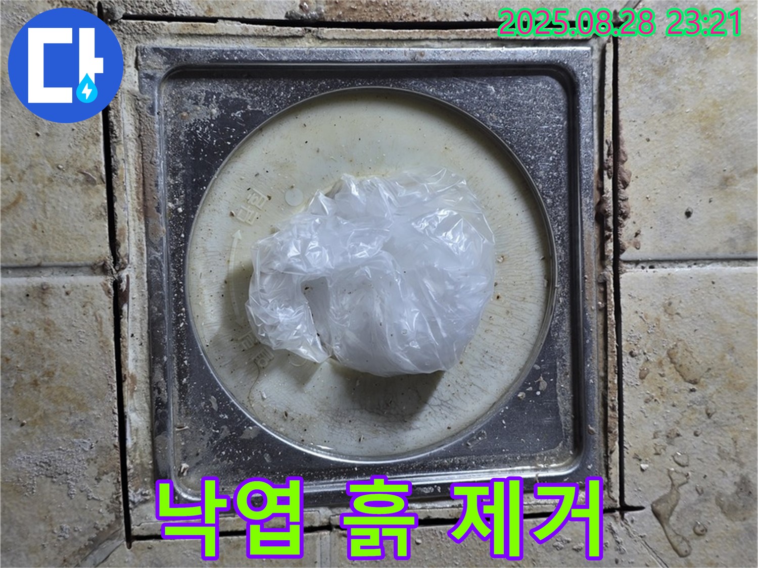 베란다 하수구 막힘 - 낙엽과 흙 제거 작업