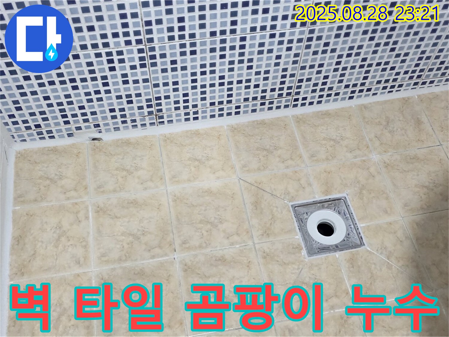 벽 타일 곰팡이 - 누수 신호