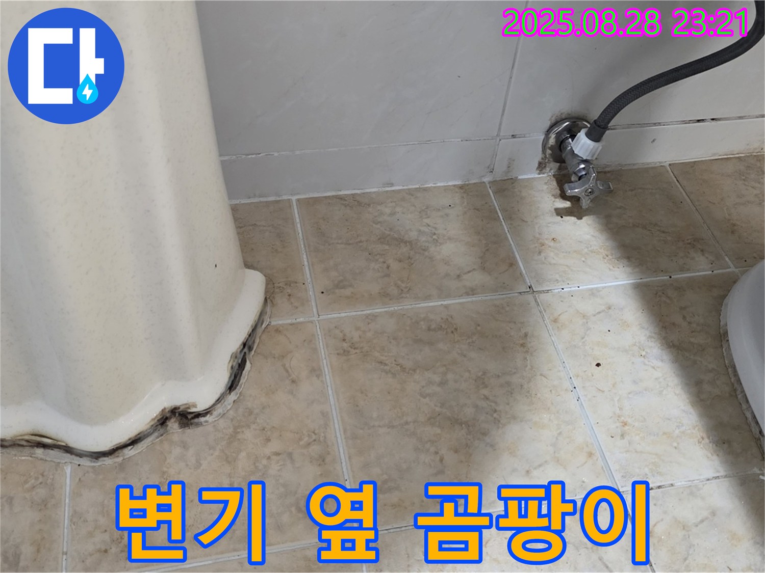 변기 옆 타일 곰팡이 - 완벽 차단! 쾌적한 욕실!