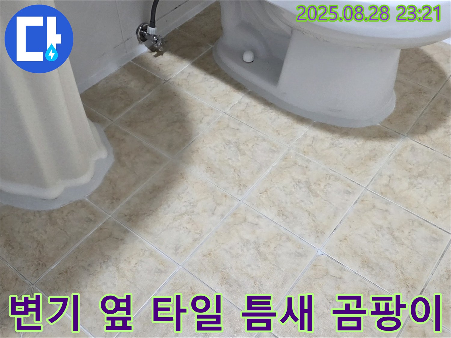 변기 옆 - 타일 틈새 - 곰팡이