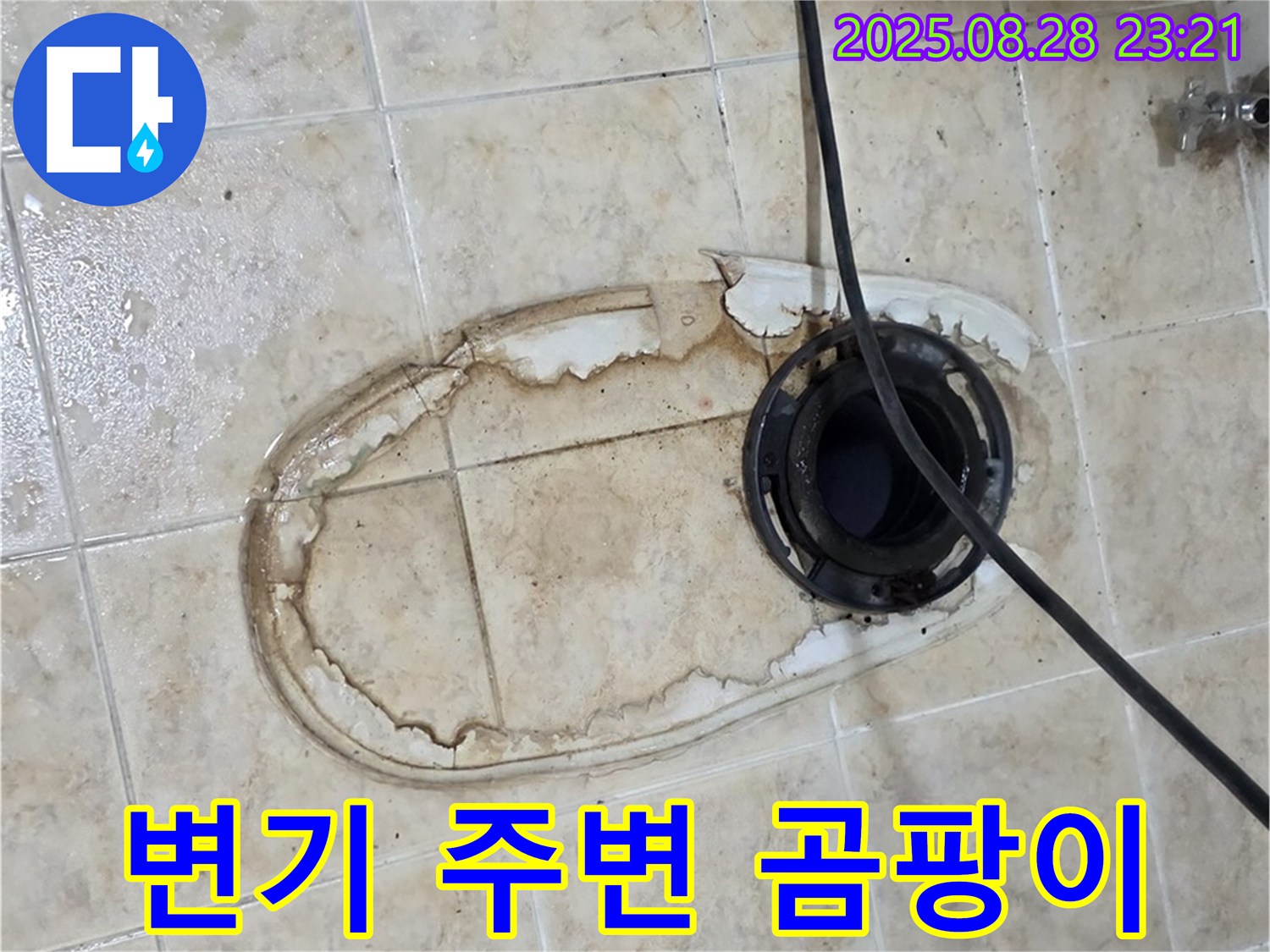 변기 주변 곰팡이 - 누수로 인한 곰팡이 발생