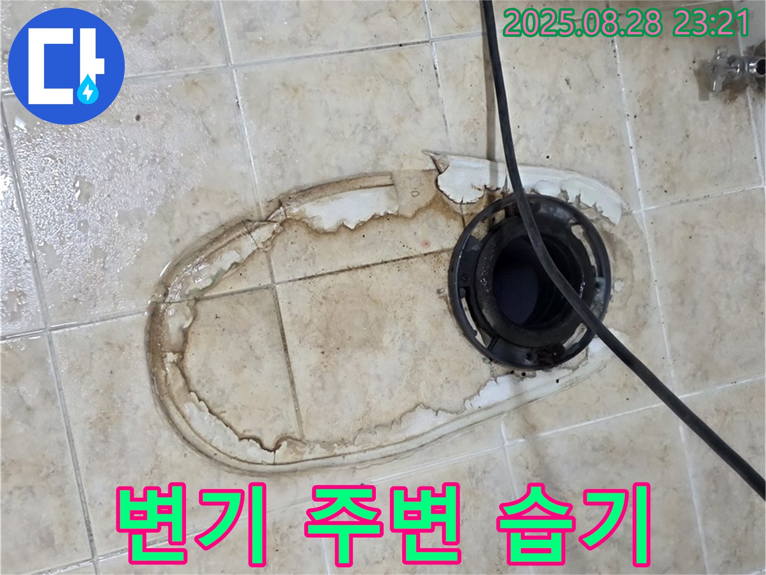 변기 주변 습기 - 곰팡이 위험