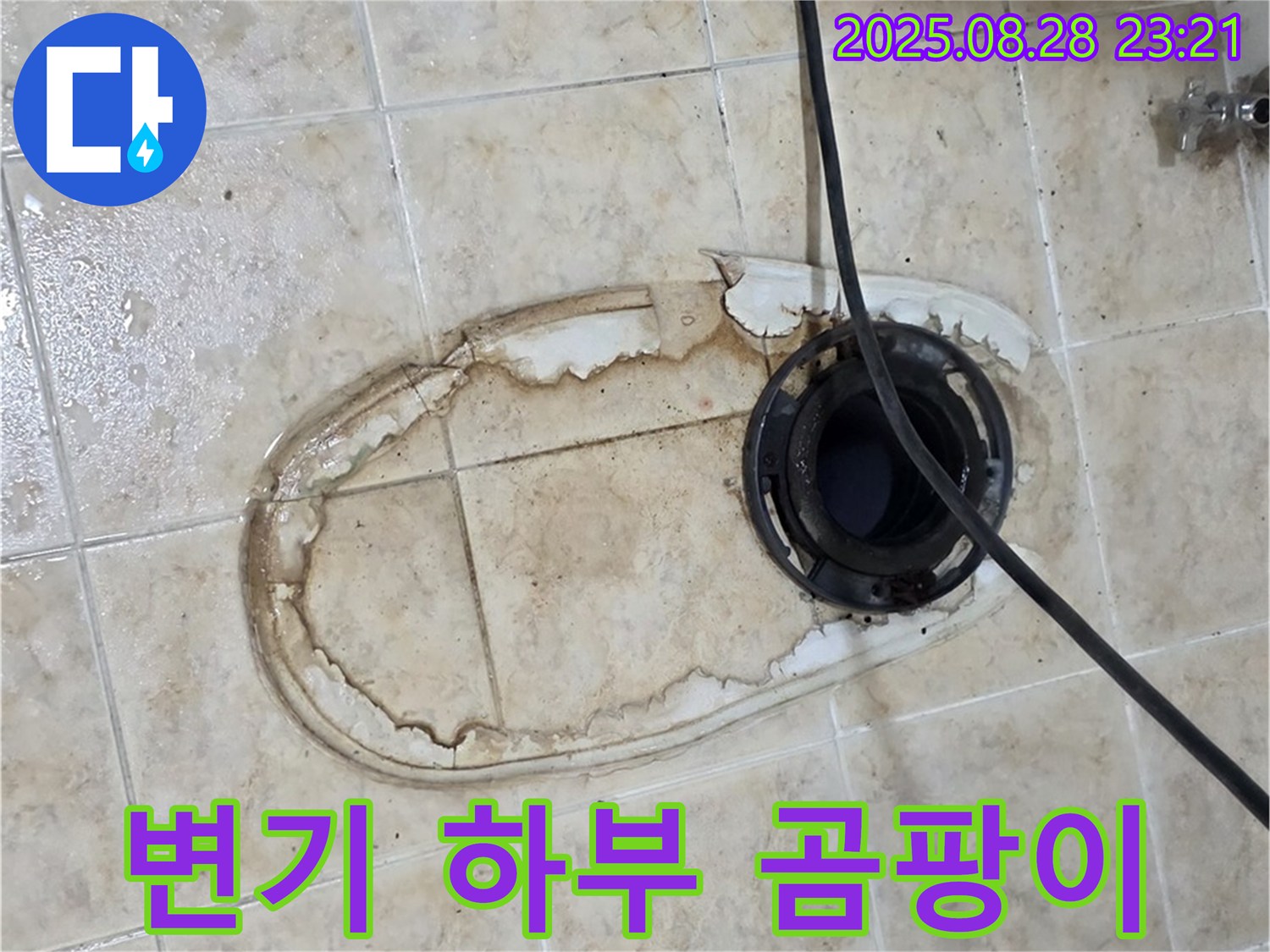 변기 하부 곰팡이 - 누수로 인한 곰팡이 발생