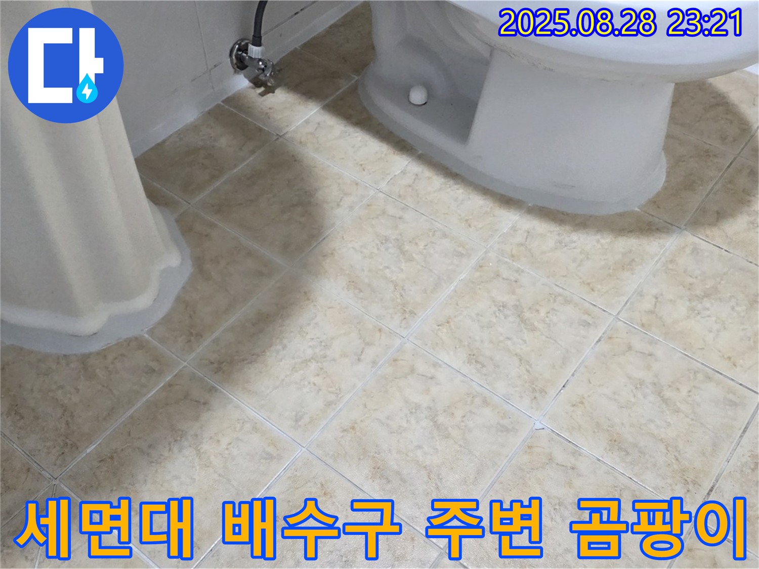 세면대 배수구 - 주변 - 곰팡이