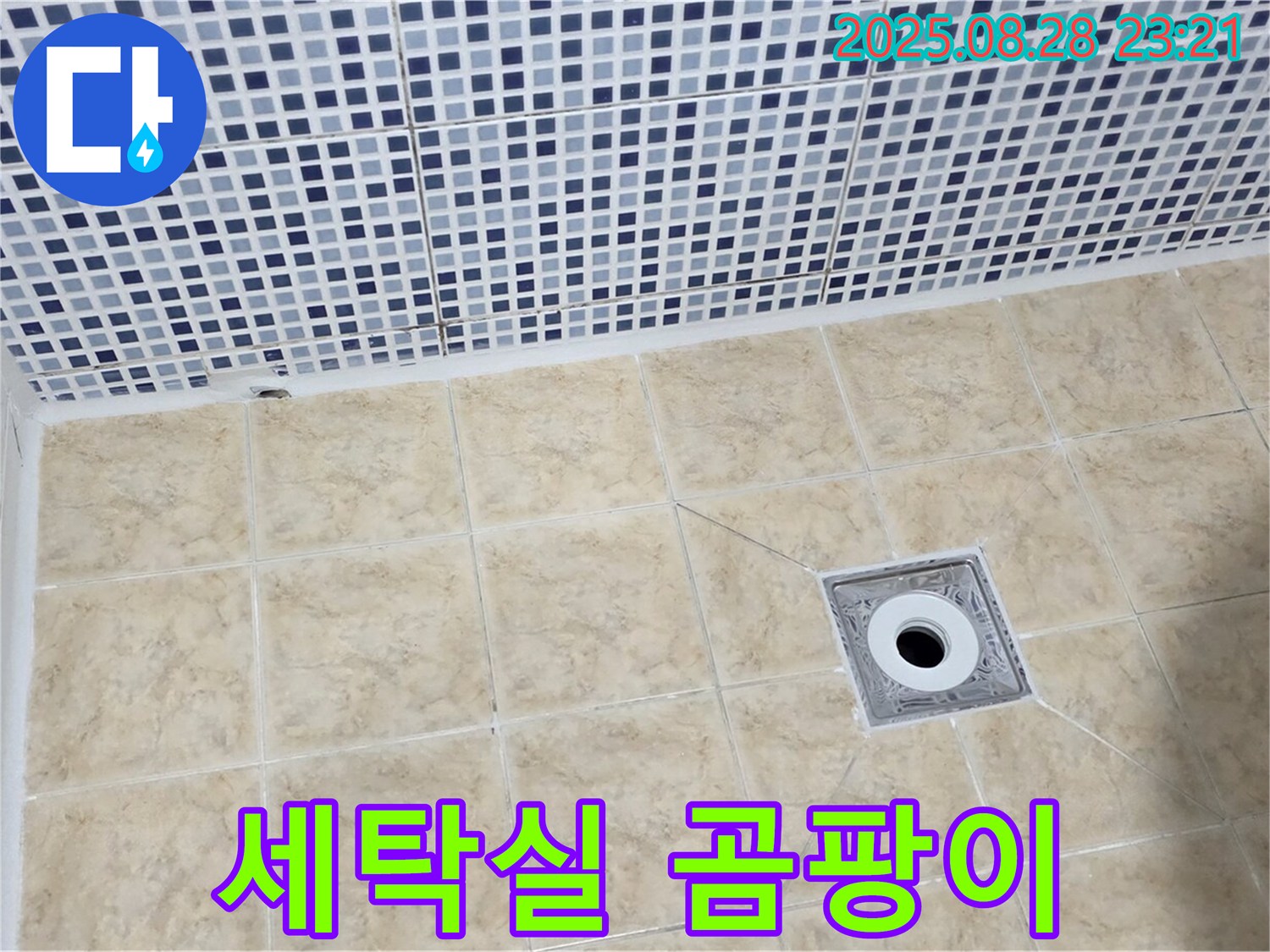 세탁실 타일 틈새 - 곰팡이 발생