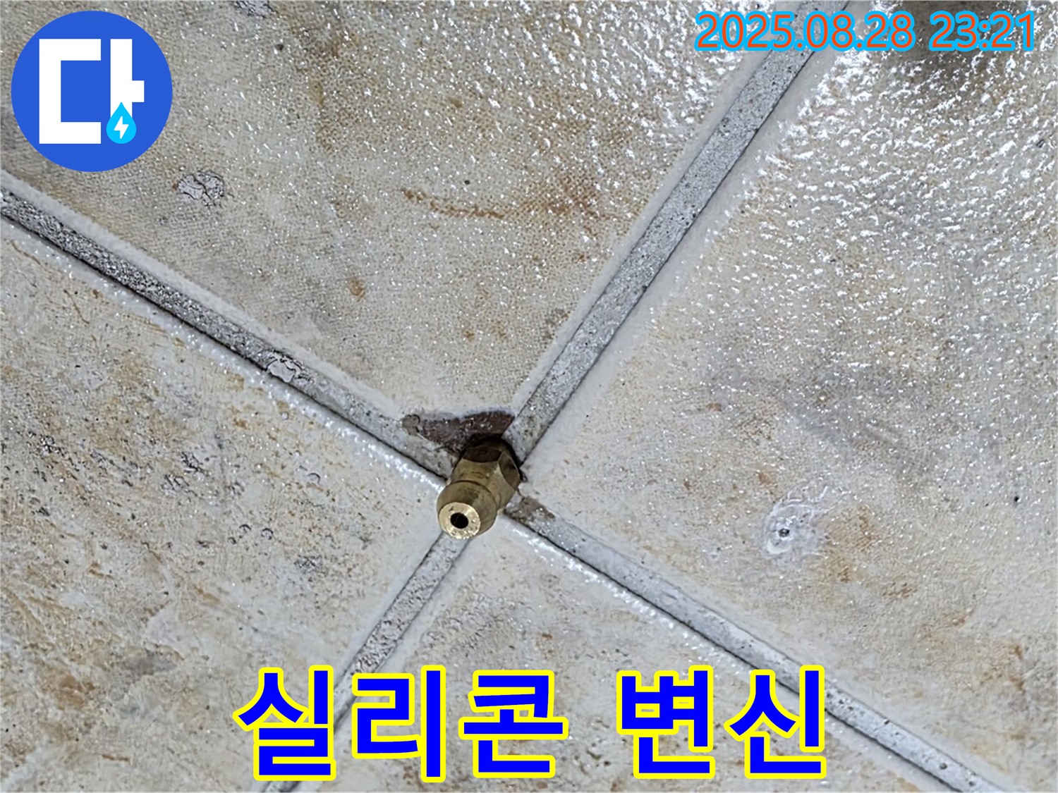 실리콘 변신 - 새롭게