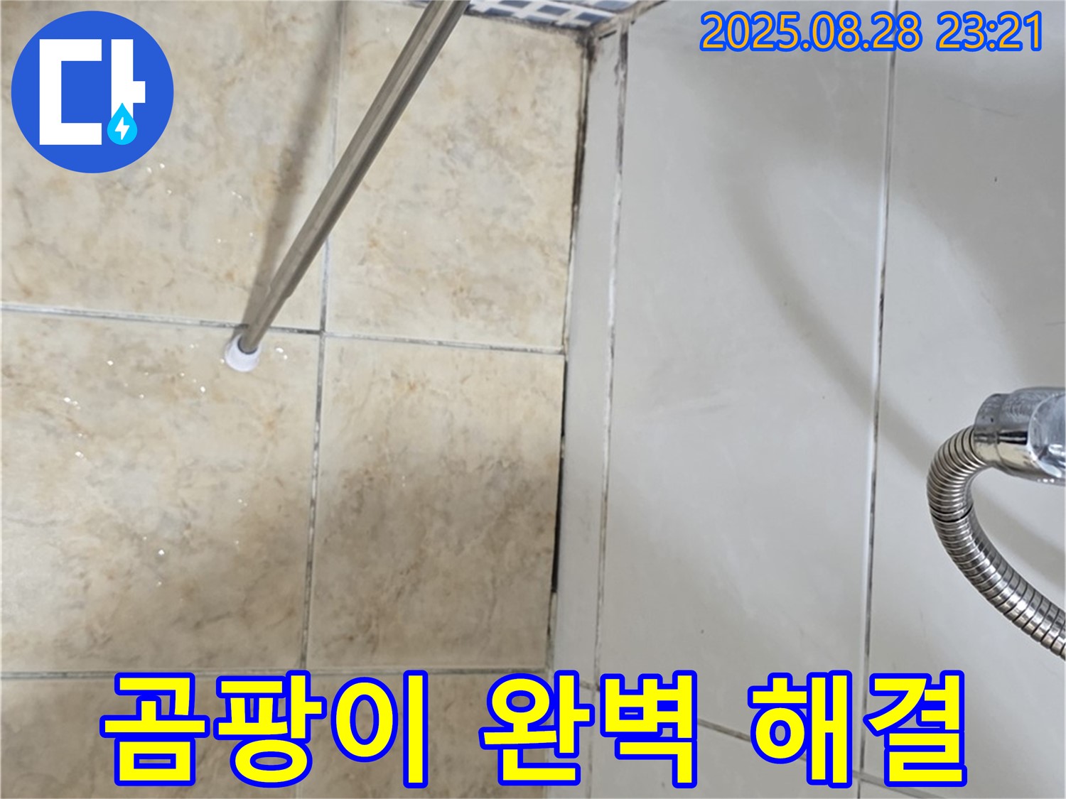욕실 곰팡이 - 곰팡이 문제 완벽하게 해결