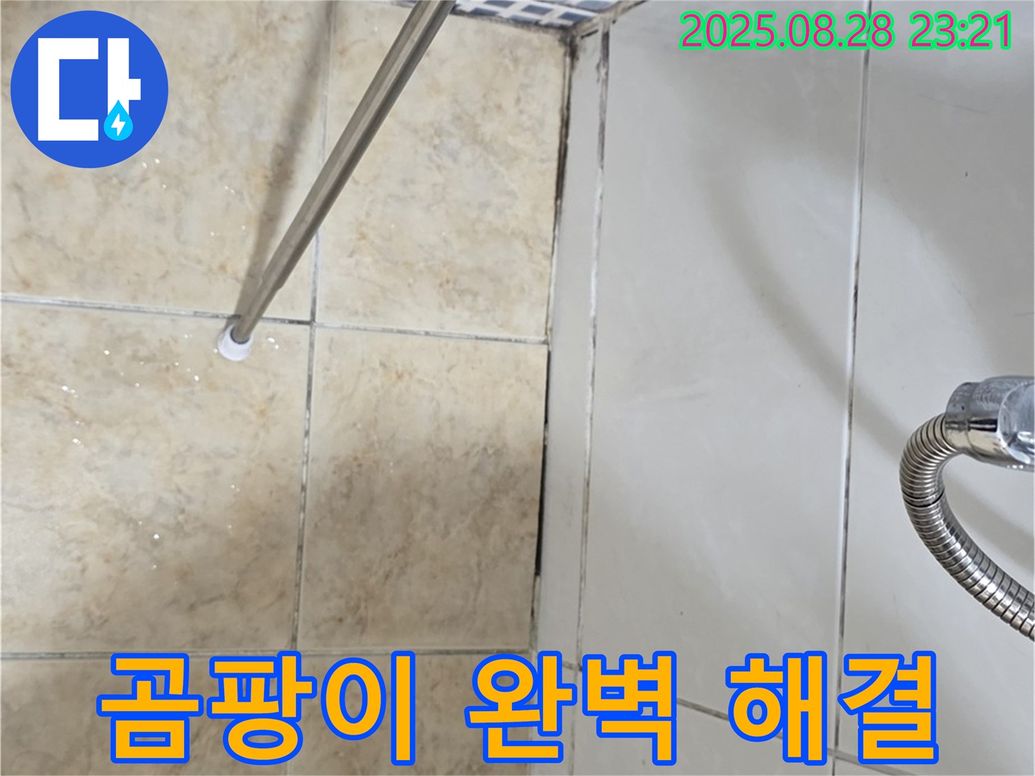 욕조 곰팡이 - 곰팡이 문제 완벽하게 해결