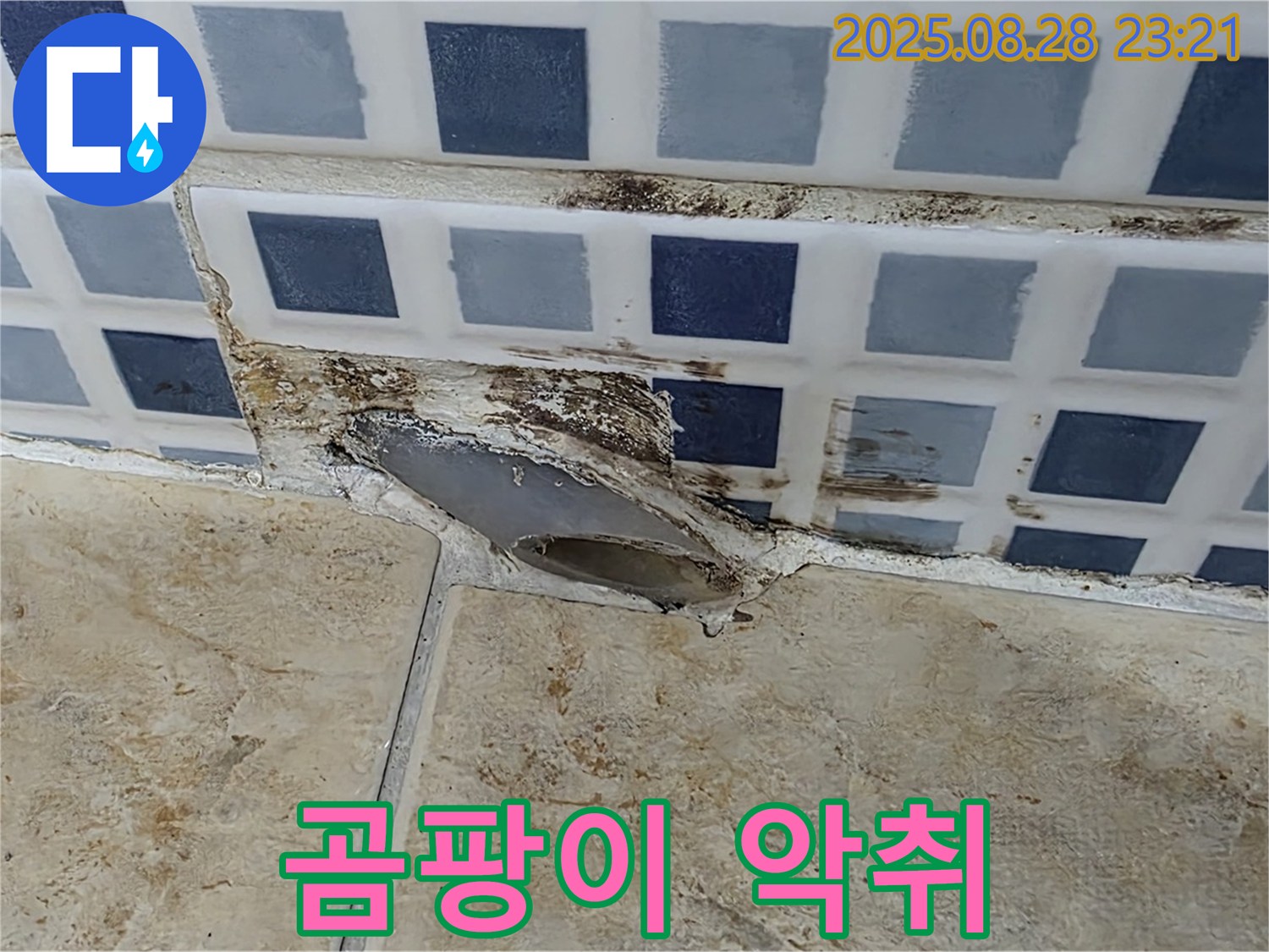 욕조 배수구 주변 곰팡이 - 악취