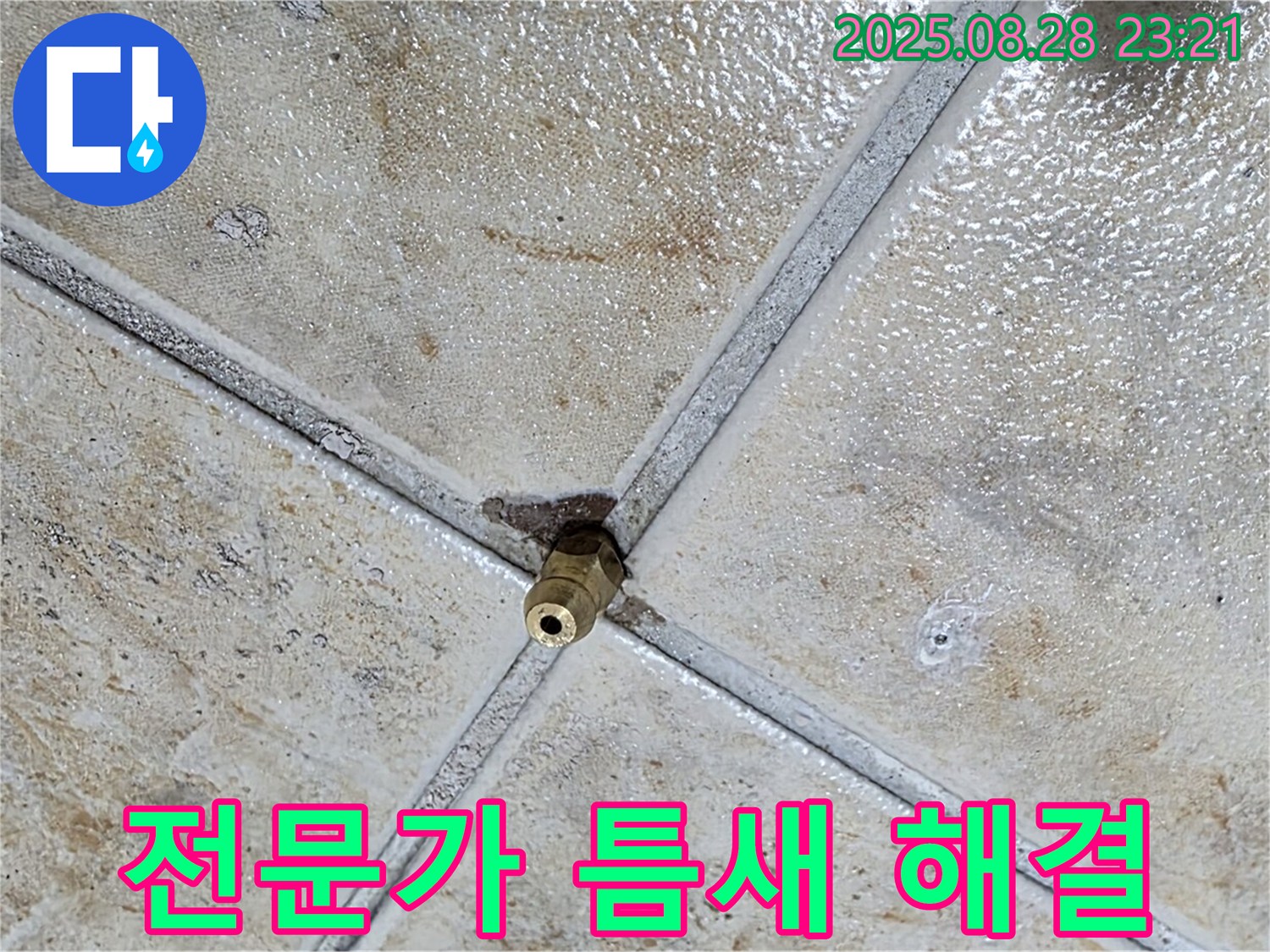 전문가 틈새 해결 - 완벽한 마무리