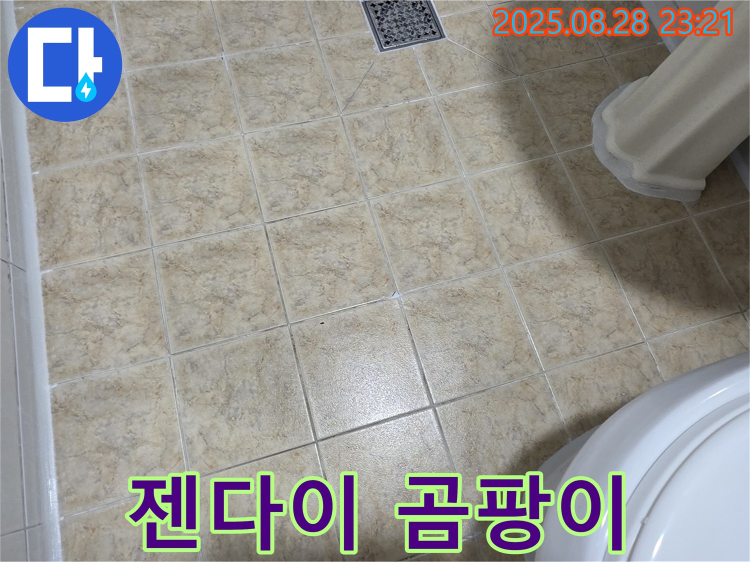 젠다이 실리콘의 곰팡이 - 전문가의 꼼꼼한 시공