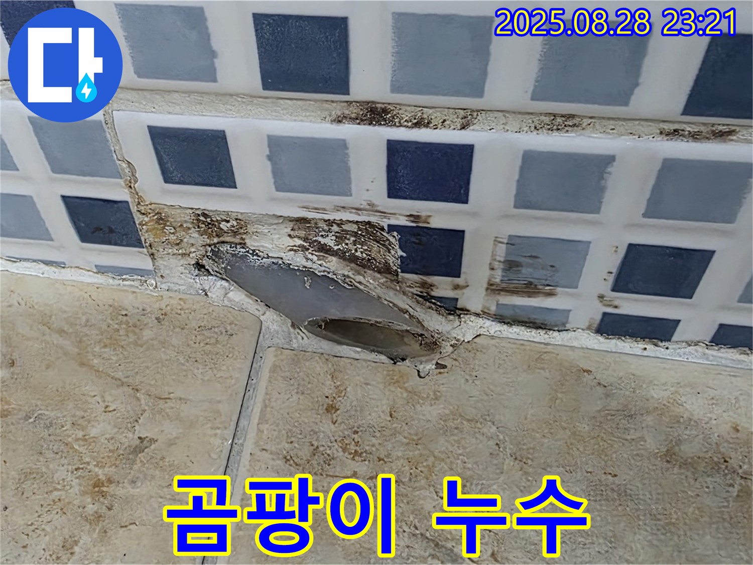 중랑구 묵동 - 곰팡이와 함께 발견된 누수