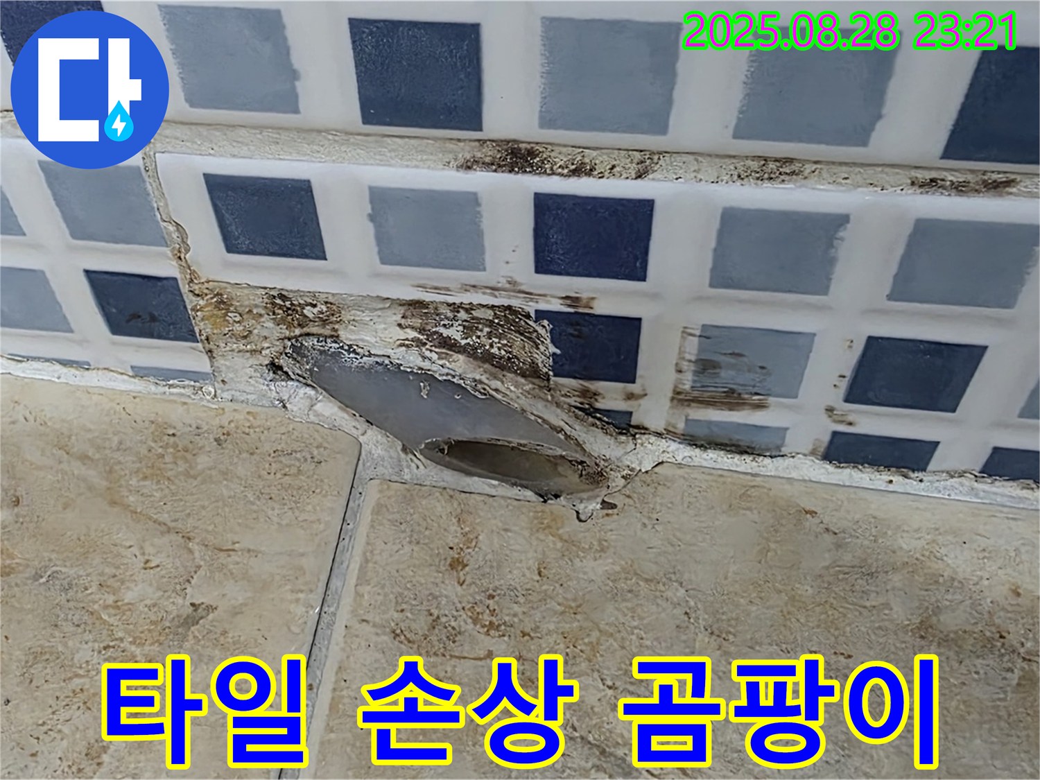 중랑구 묵동 - 타일 손상과 곰팡이로 인한 누수 발생