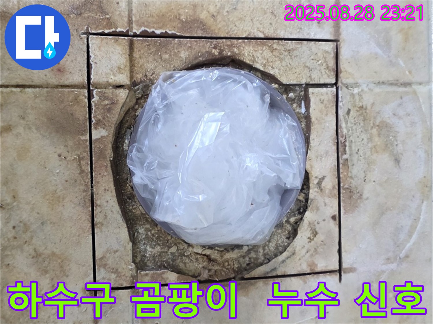 중랑구 묵동 - 하수구 주변 곰팡이, 누수 신호