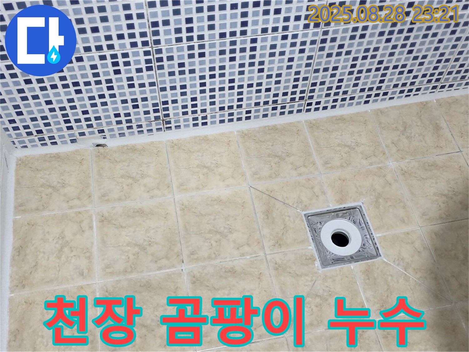 천장 곰팡이 - 윗집 누수 의심