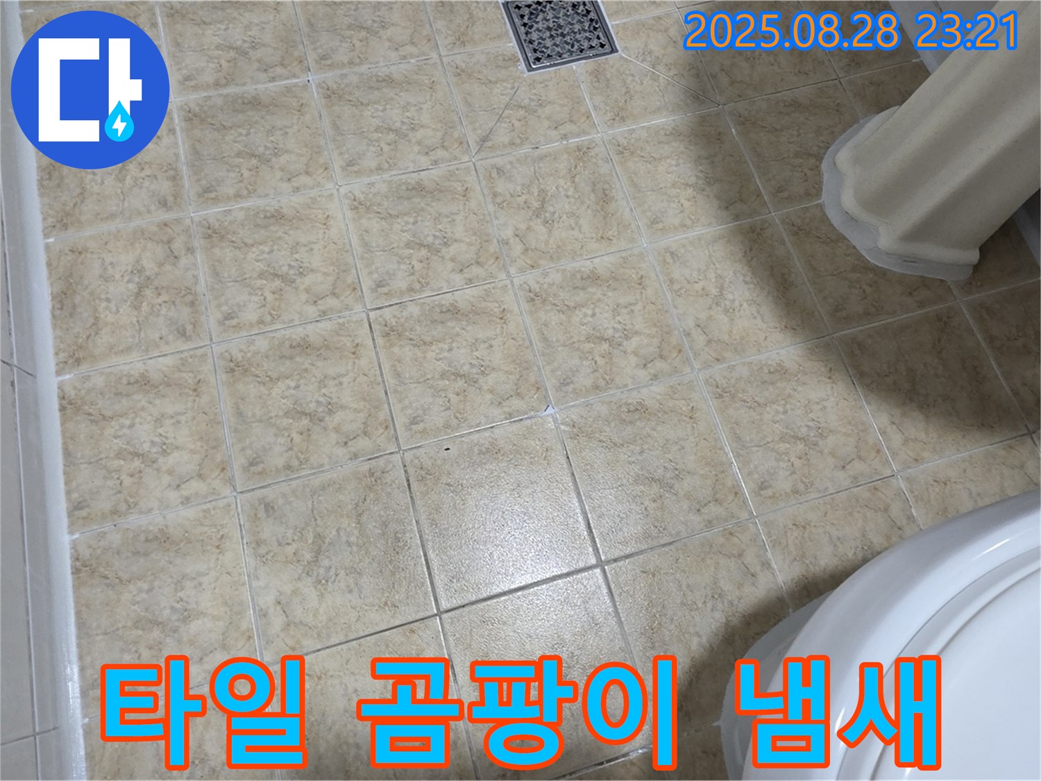 타일 곰팡이 냄새 - 전문가의 완벽 제거
