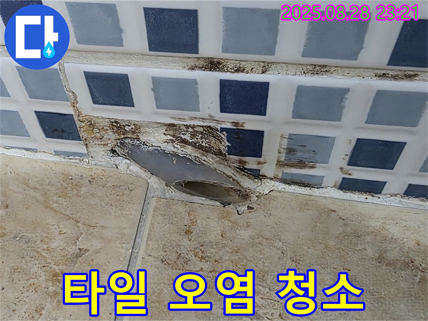 타일 오염 - 꼼꼼하게 청소