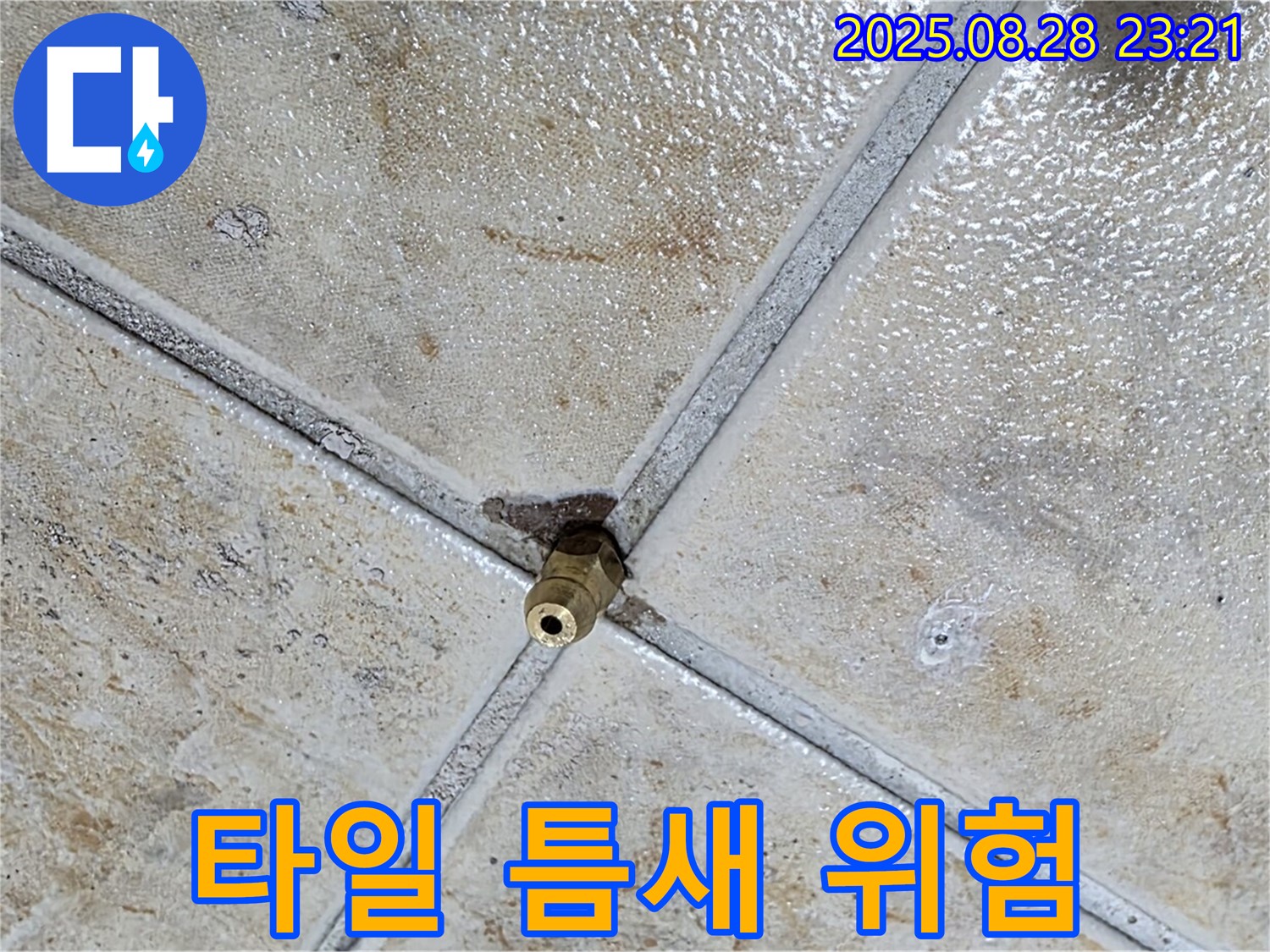 타일 틈새 위험 - 누수 시작