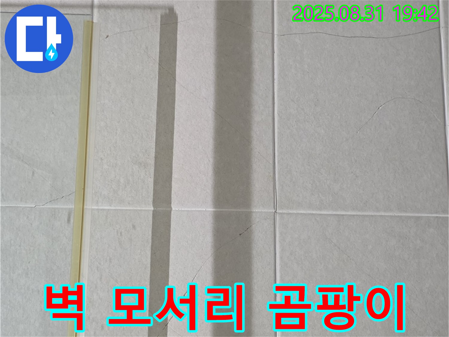 벽 모서리 - 곰팡이와 함께 찾아온 불청객!