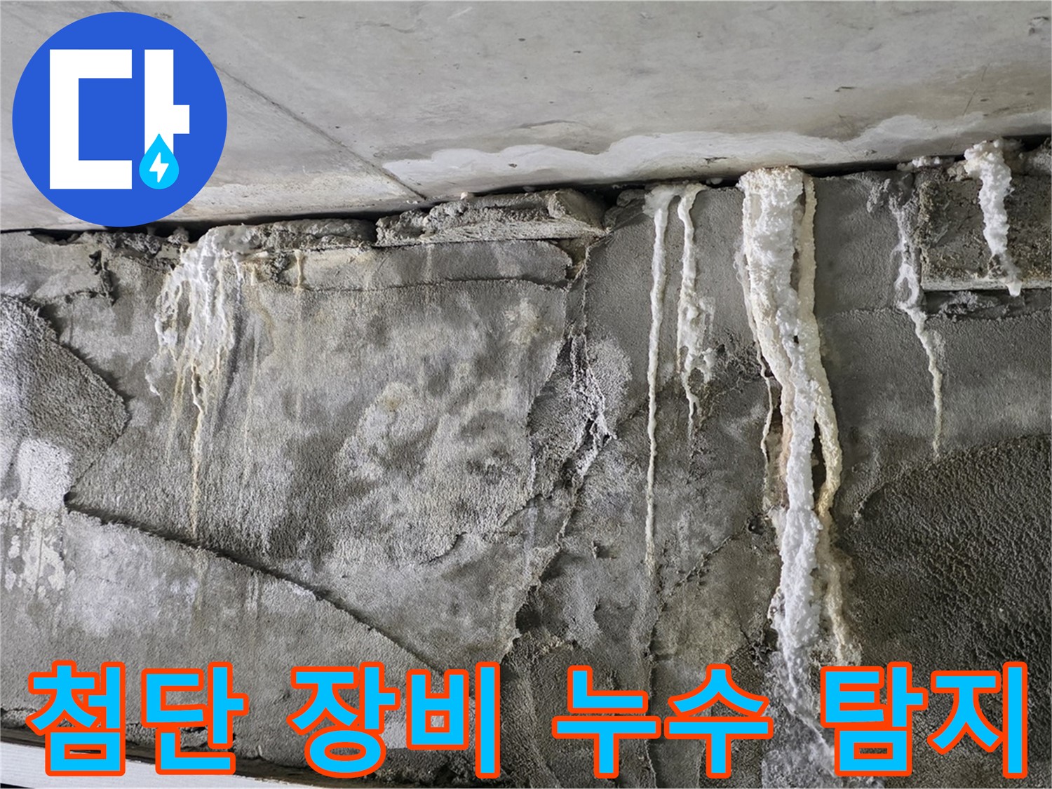 분당 누수 탐지 - 첨단 장비로 숨은 누수 해결