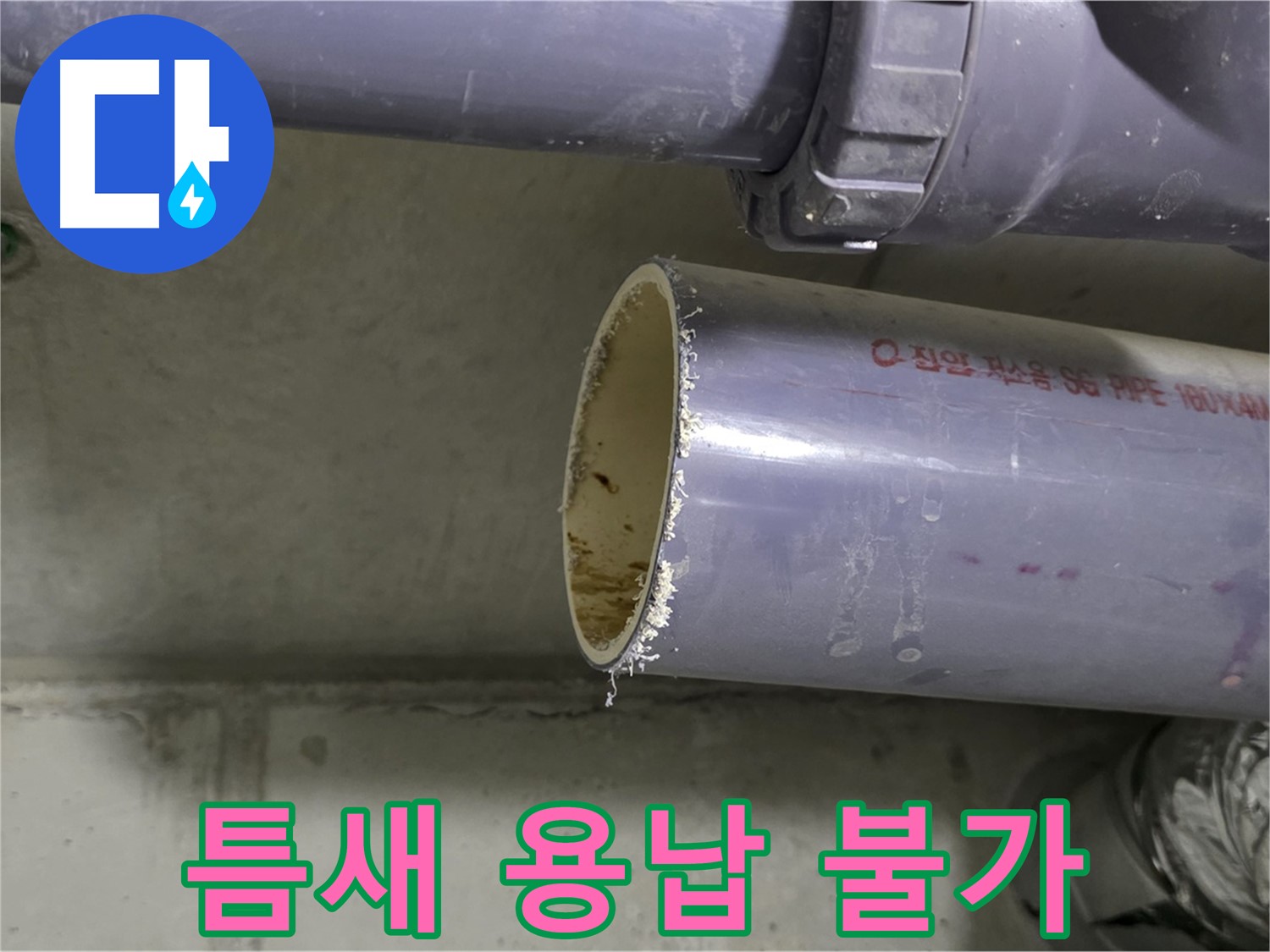 분당 누수 현장 - 배관 연결 부위를 꼼꼼하게 점검하는 전문가의 모습
