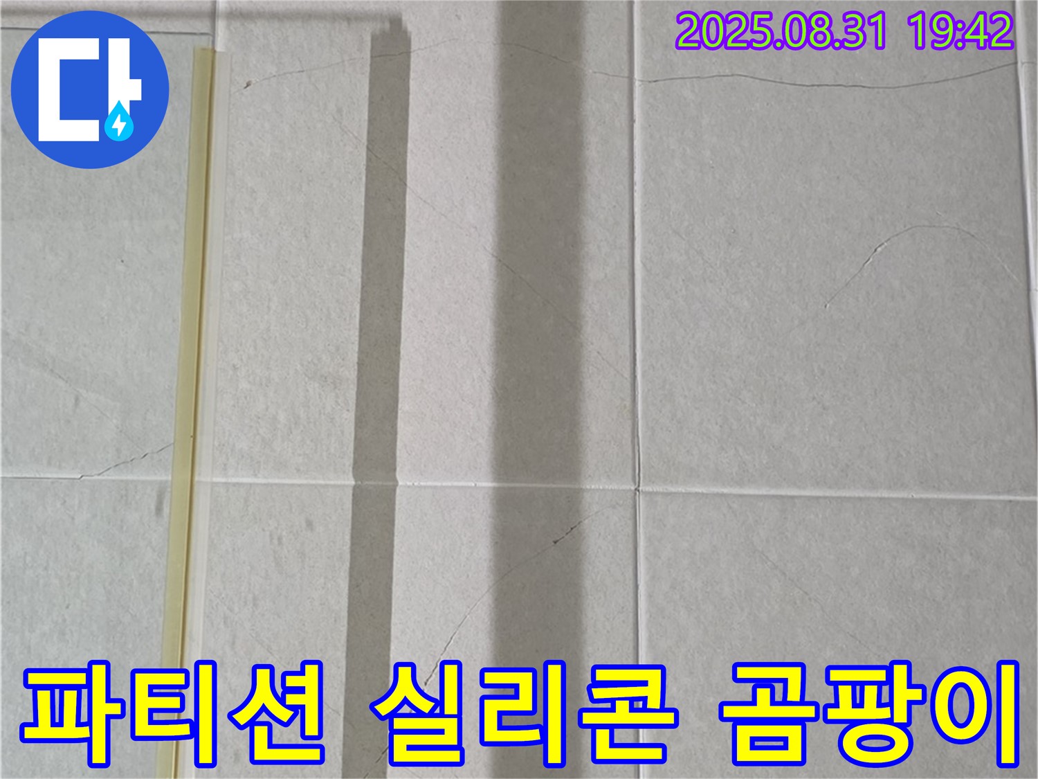 샤워 파티션 실리콘 손상 - 곰팡이 발생