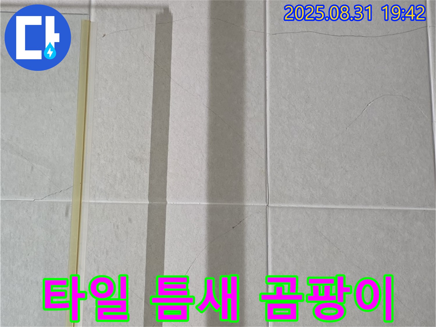 샤워기 옆 타일 틈새 곰팡이 - 누수와 관련 있을까?