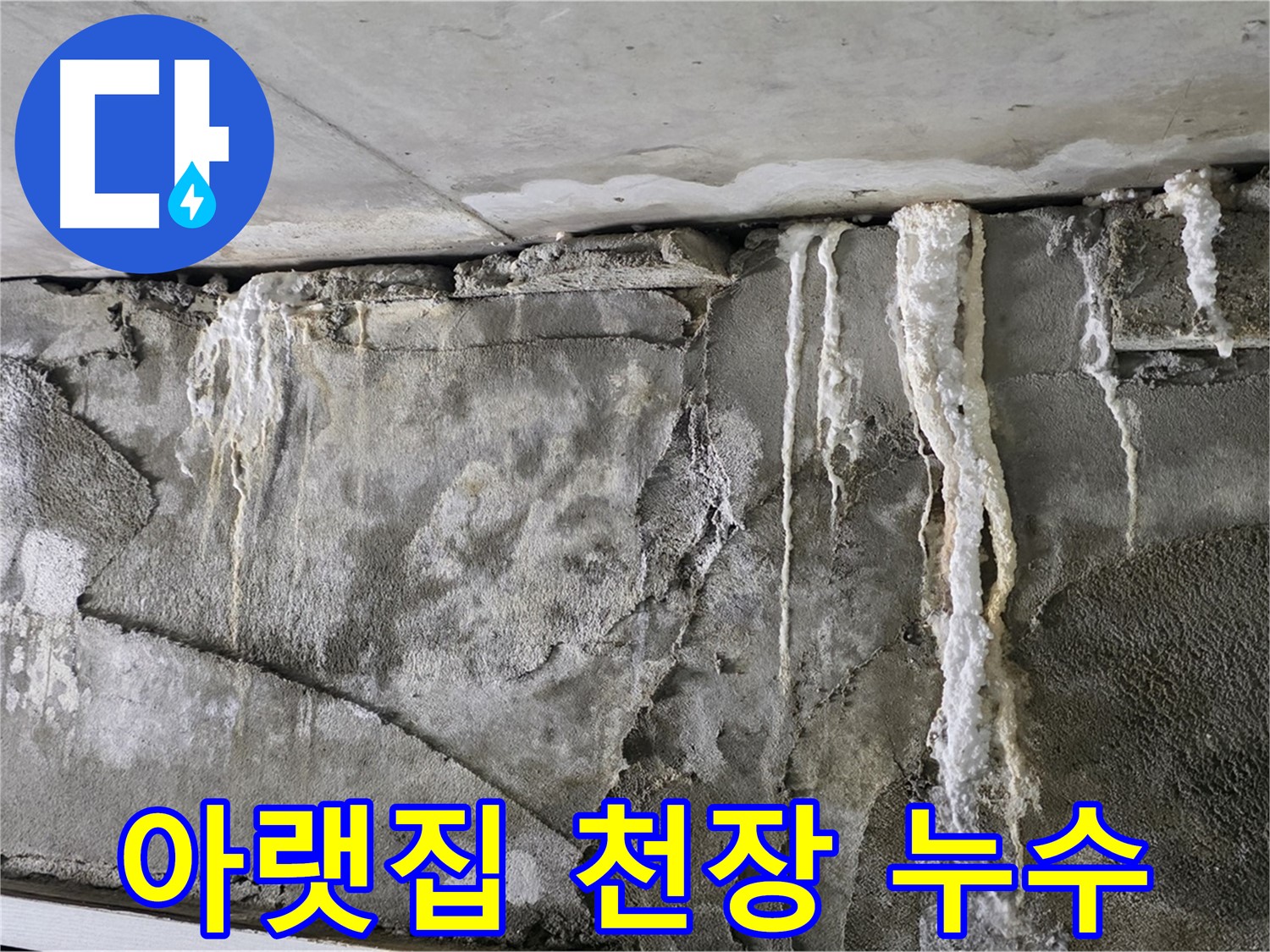 분당 누수 - 아랫집 천장 누수, 신속한 대처 필요